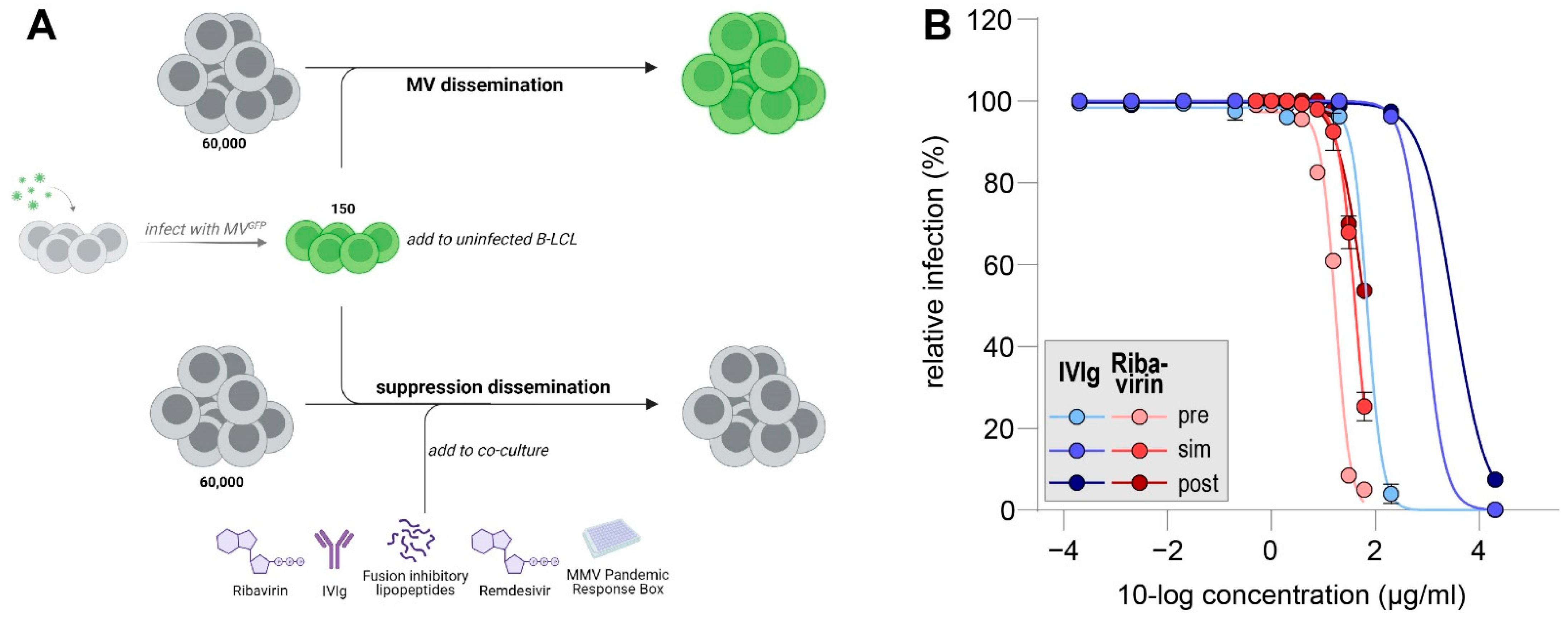 Viruses 14 01186 g001