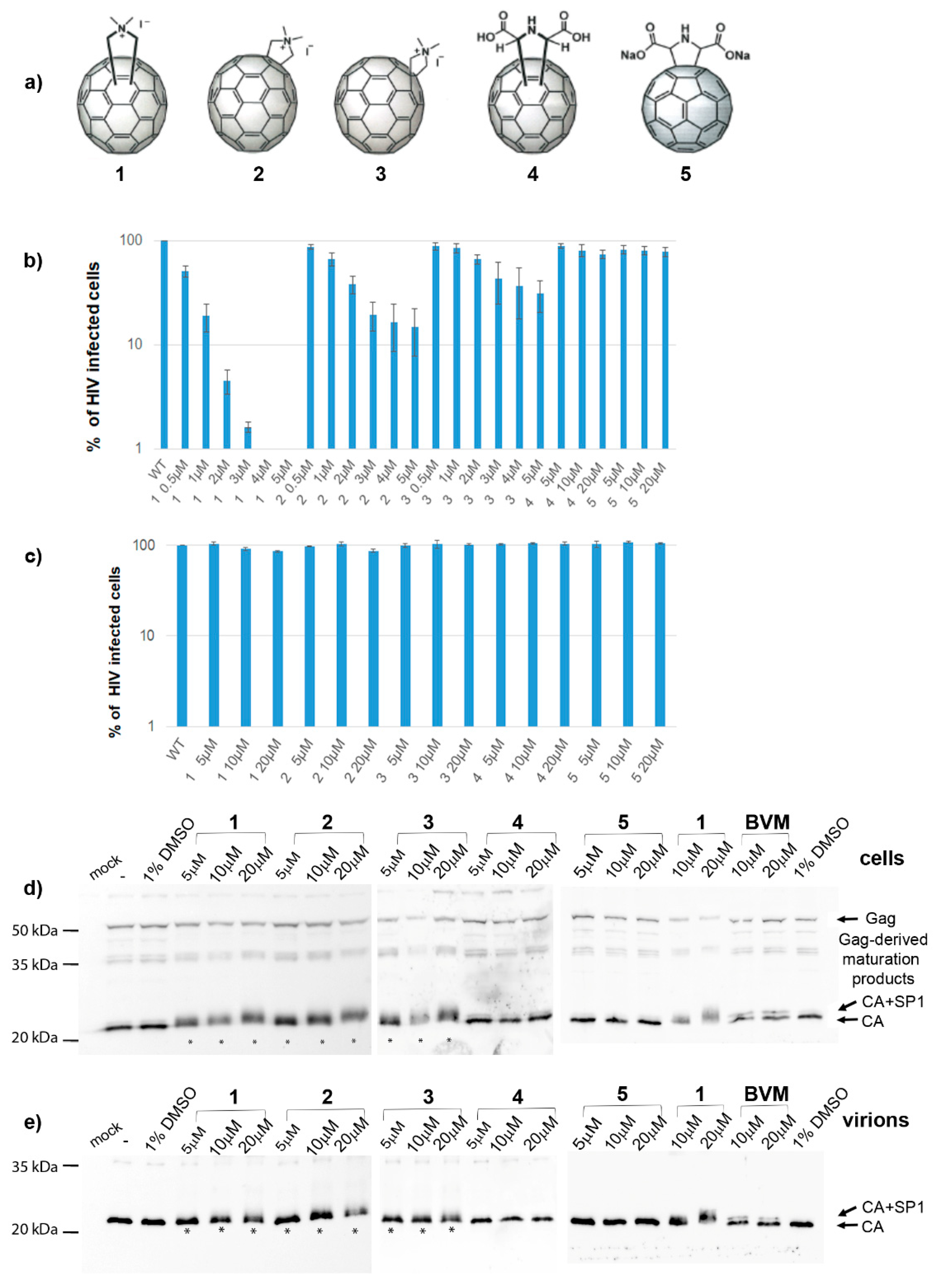 Viruses 14 01187 g001 550