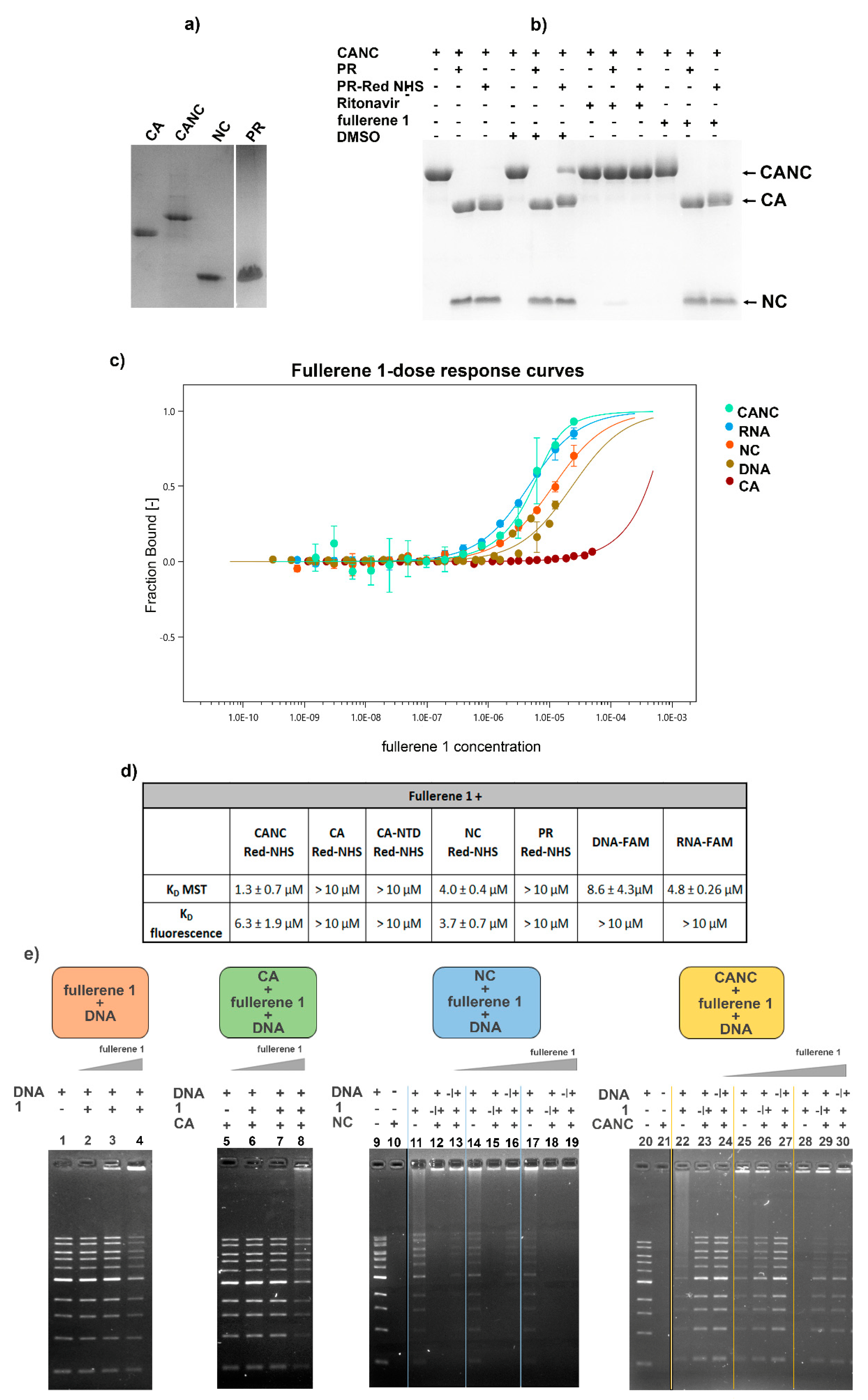 Viruses 14 01187 g005 550