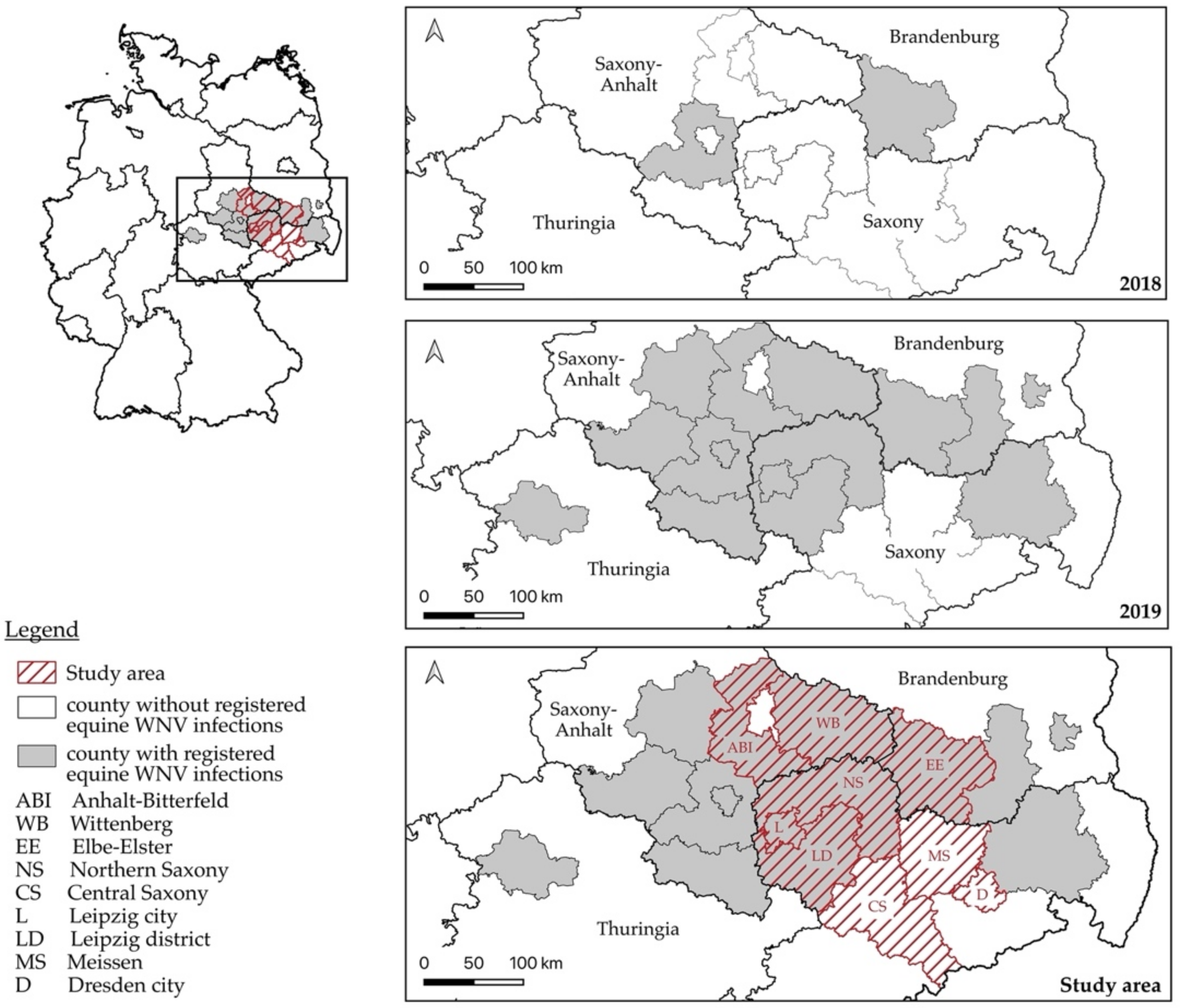 Viruses 14 01191 g001 Viruses 14 01191 g001