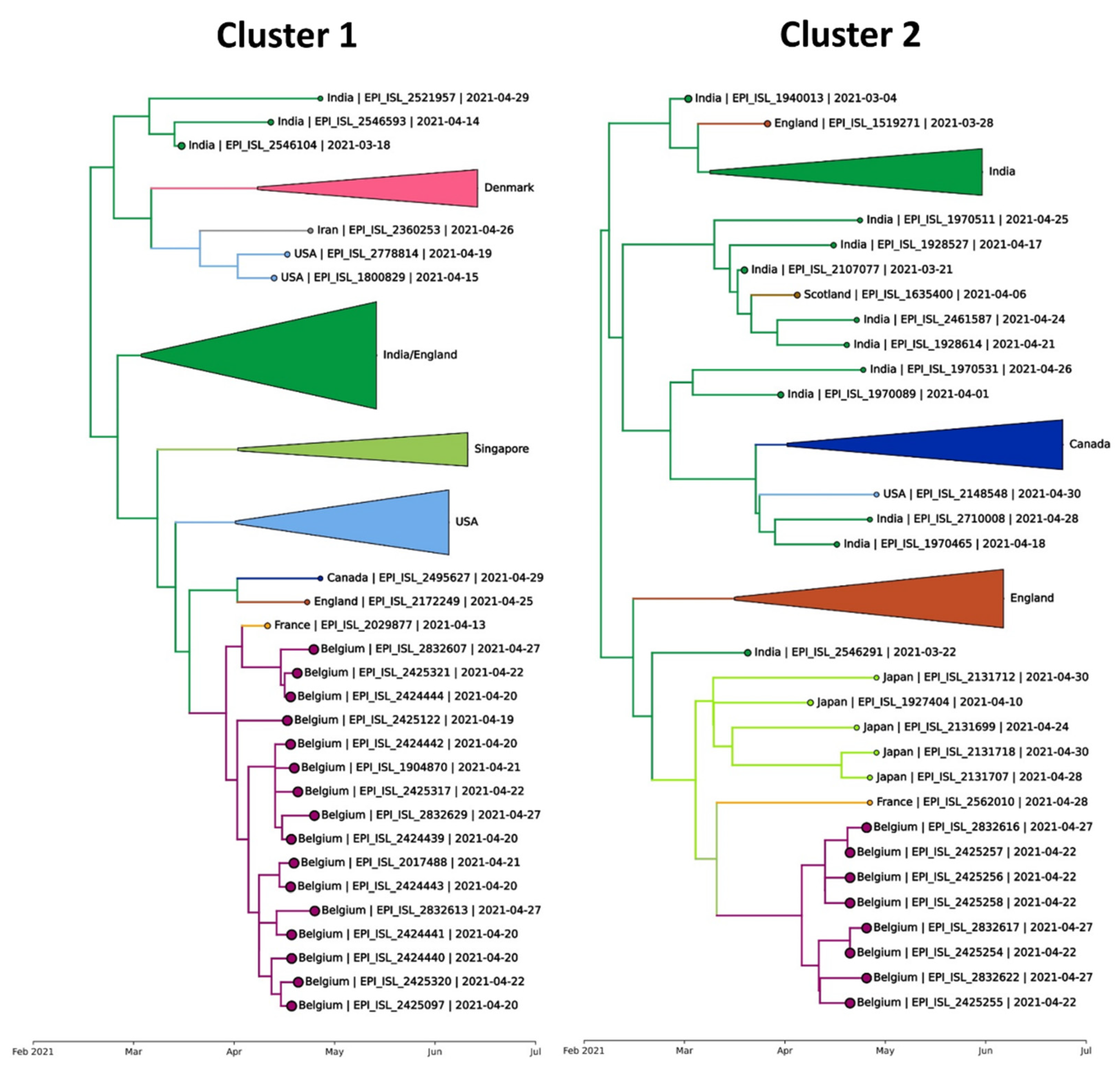 Viruses 14 01198 g003