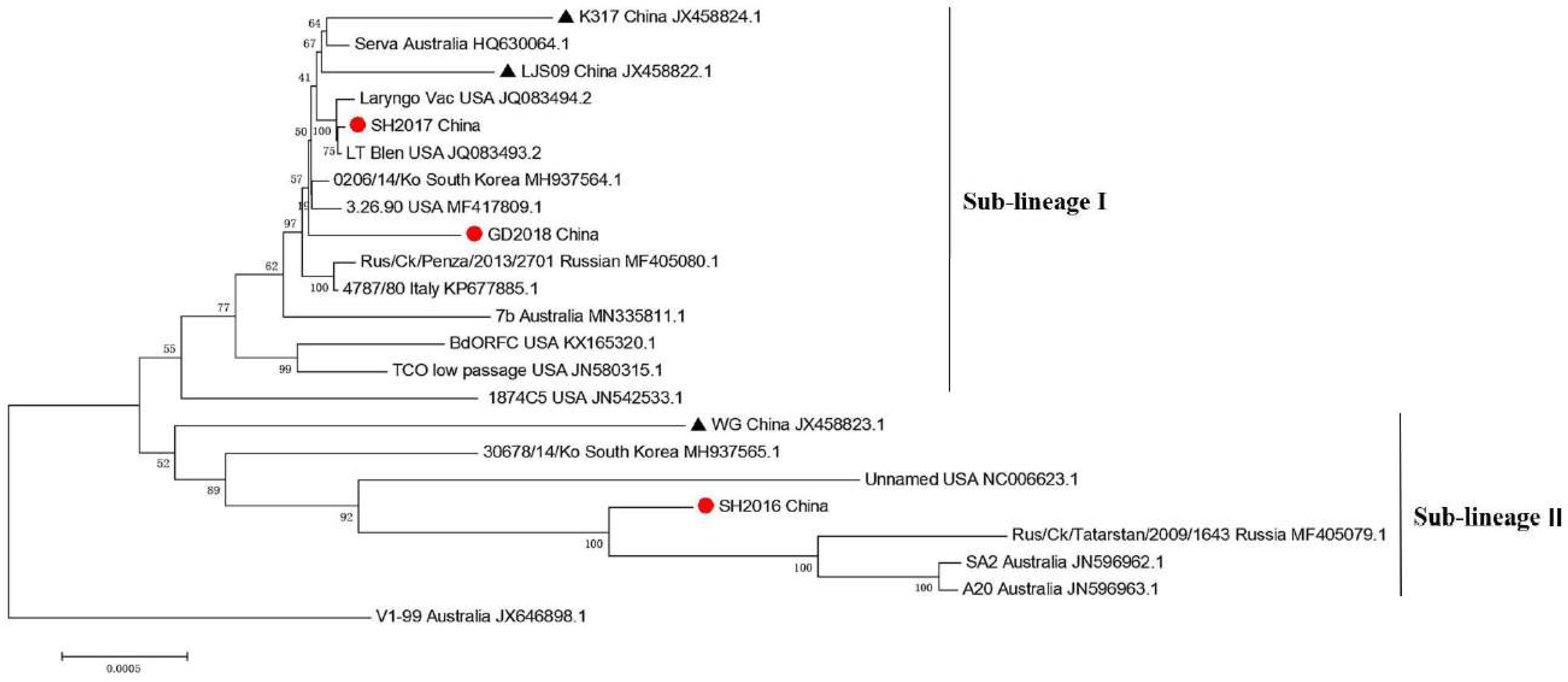 Viruses 14 01200 g0a2 Viruses 14 01200 g0a2