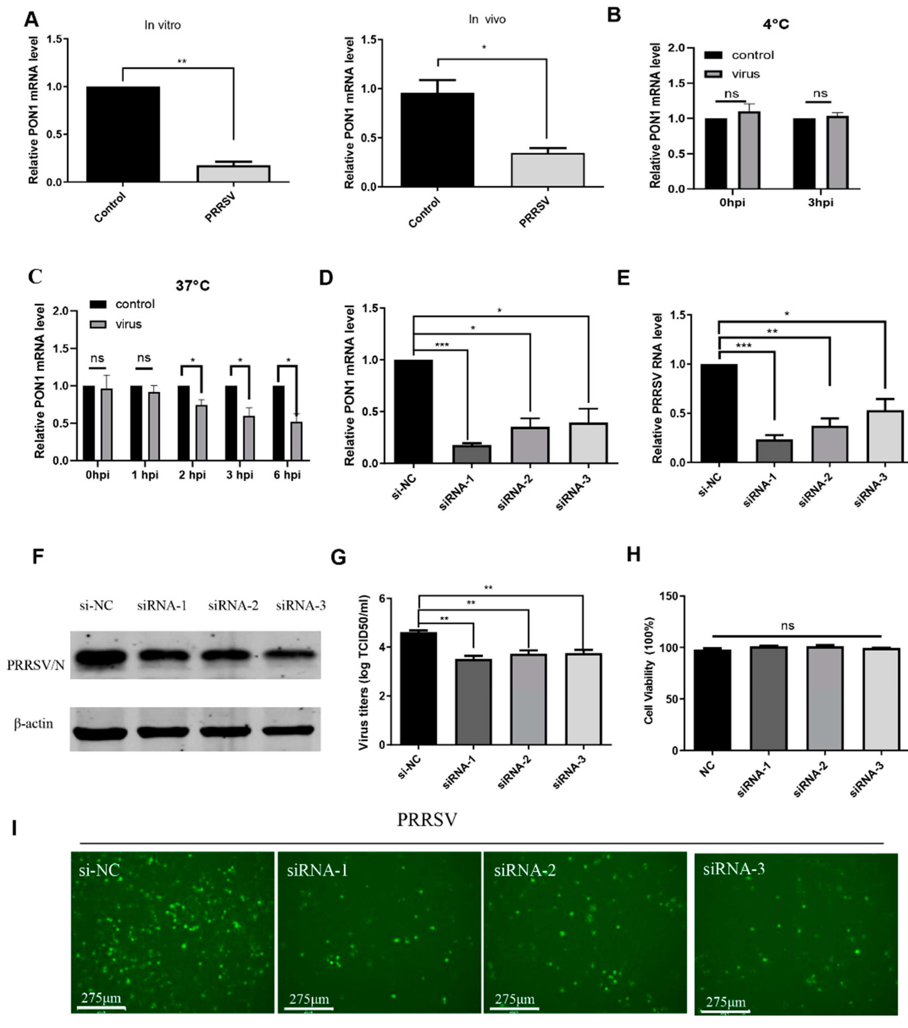 Viruses 14 01203 g001 Viruses 14 01203 g001