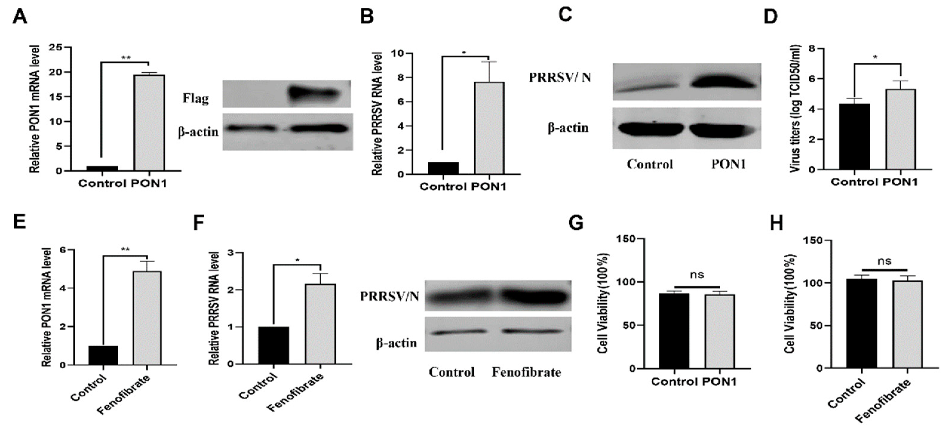 Viruses 14 01203 g002 Viruses 14 01203 g002