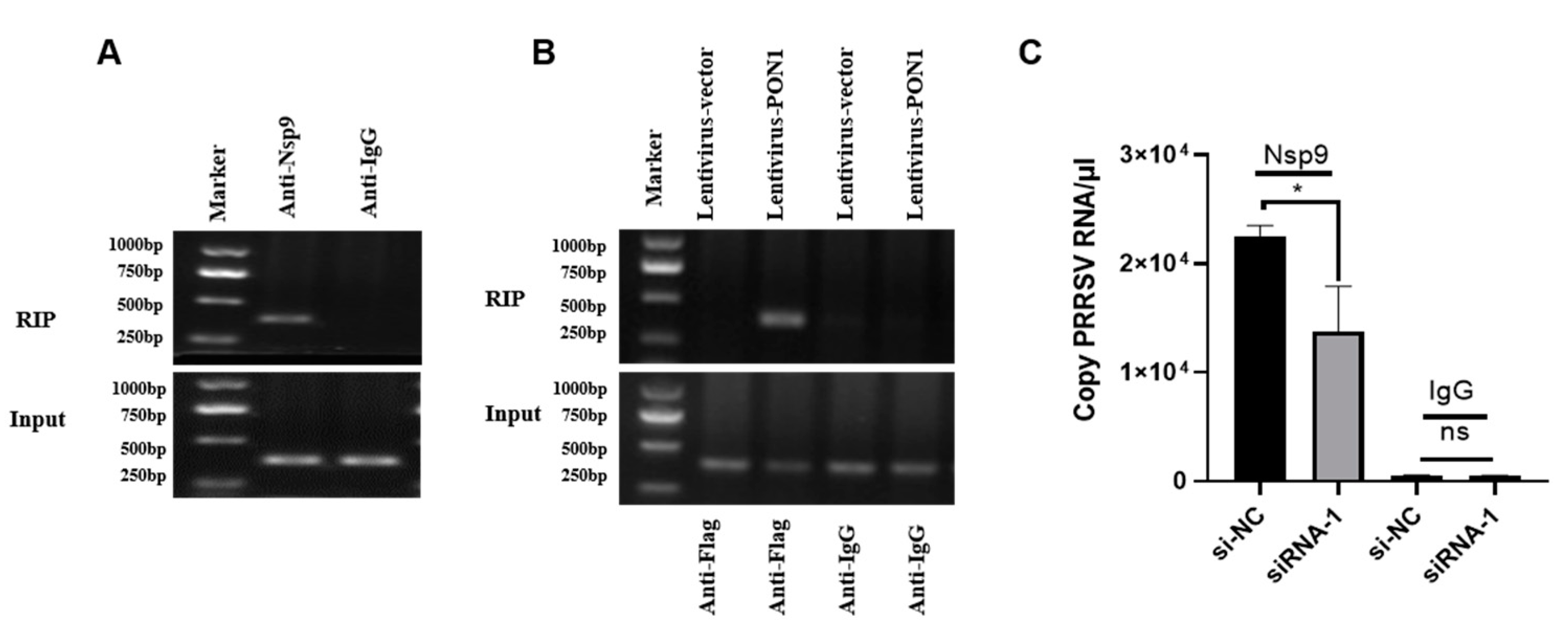 Viruses 14 01203 g005 Viruses 14 01203 g005
