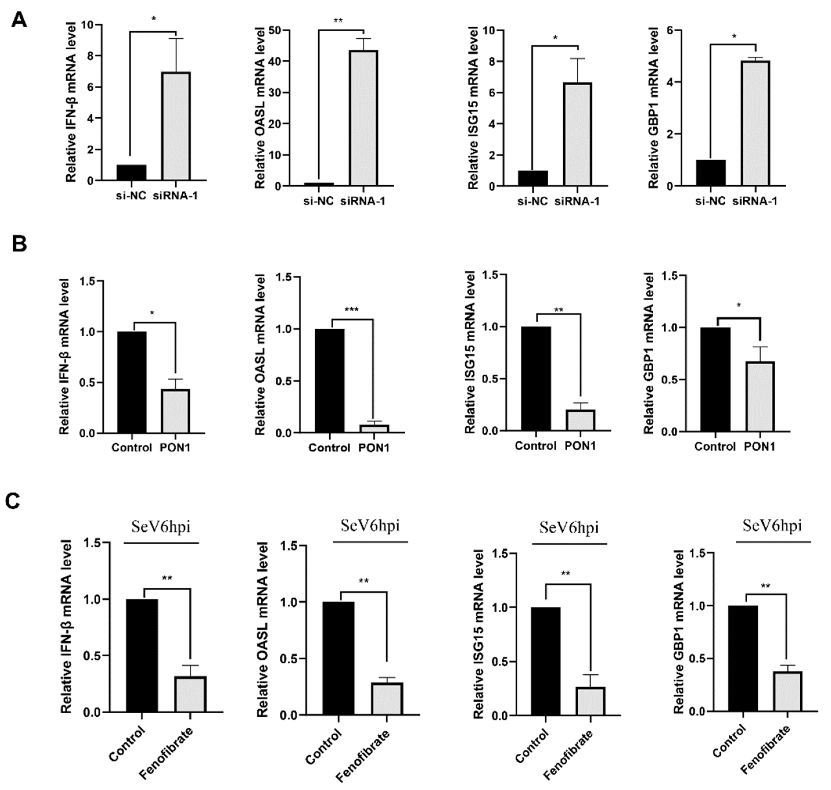 Viruses 14 01203 g006 Viruses 14 01203 g006