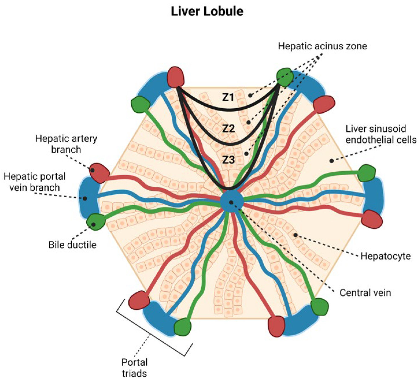 Viruses 14 01204 g001 550