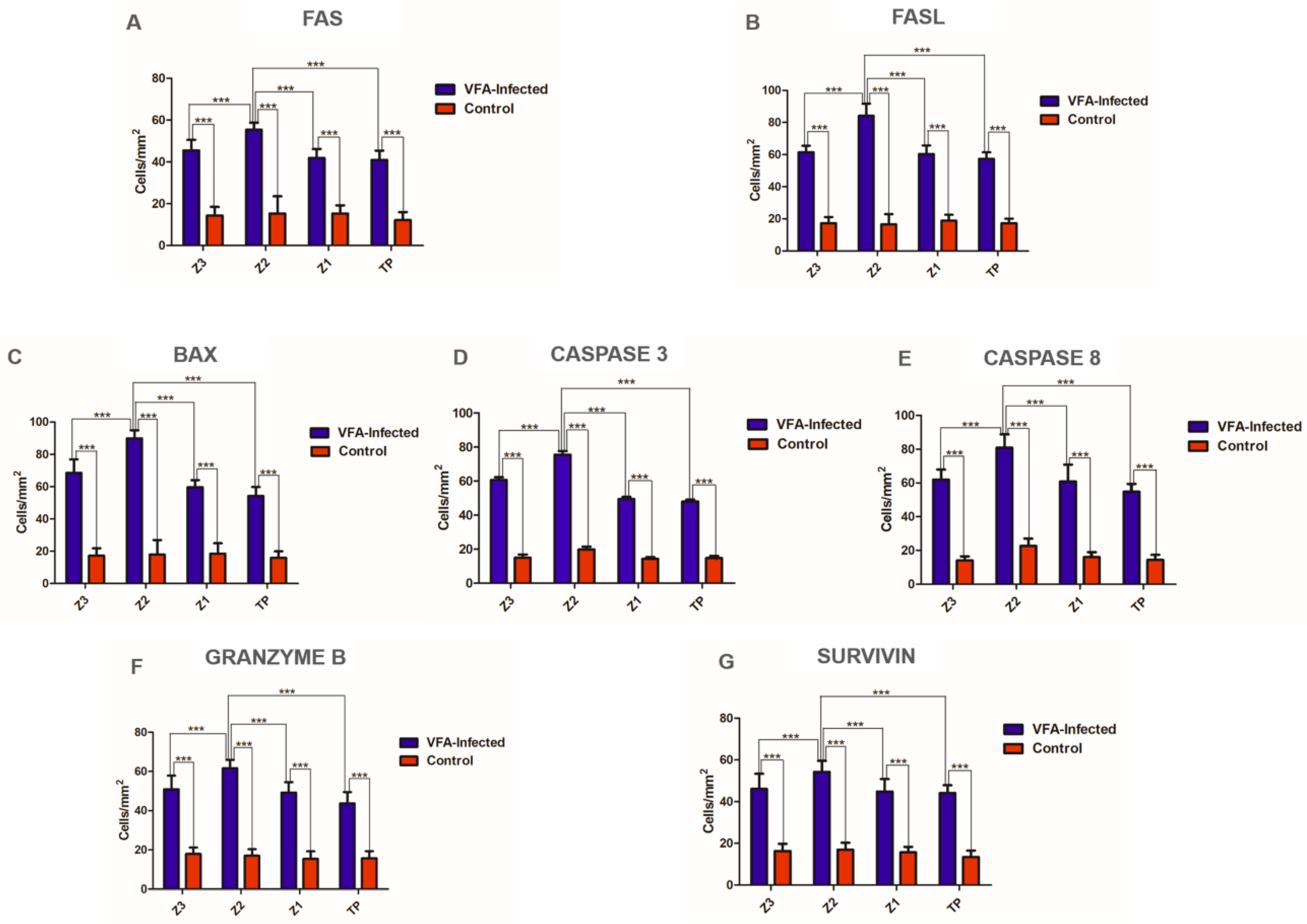 Viruses 14 01204 g003 550