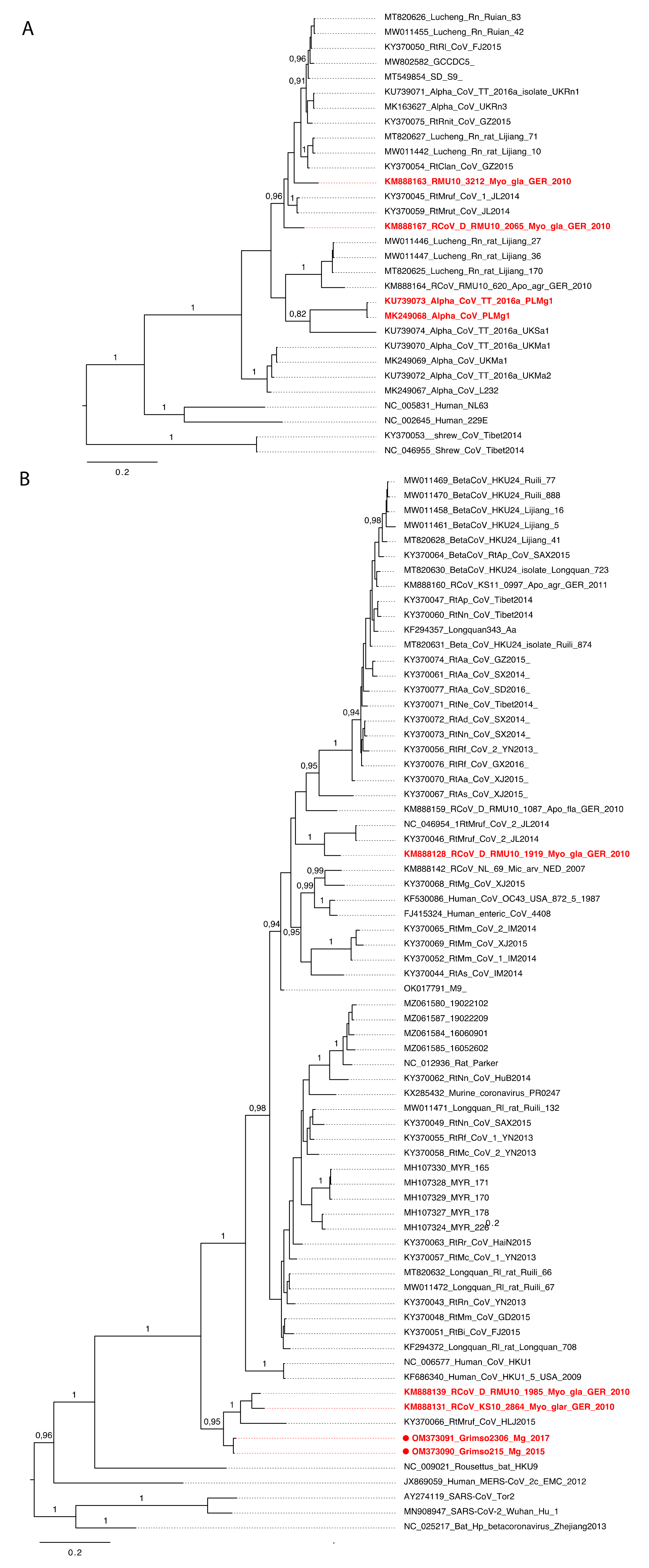 Viruses 14 01205 g003
