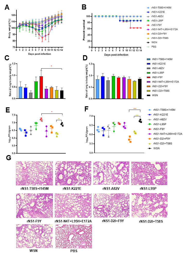 Viruses 14 01206 g003 Viruses 14 01206 g003