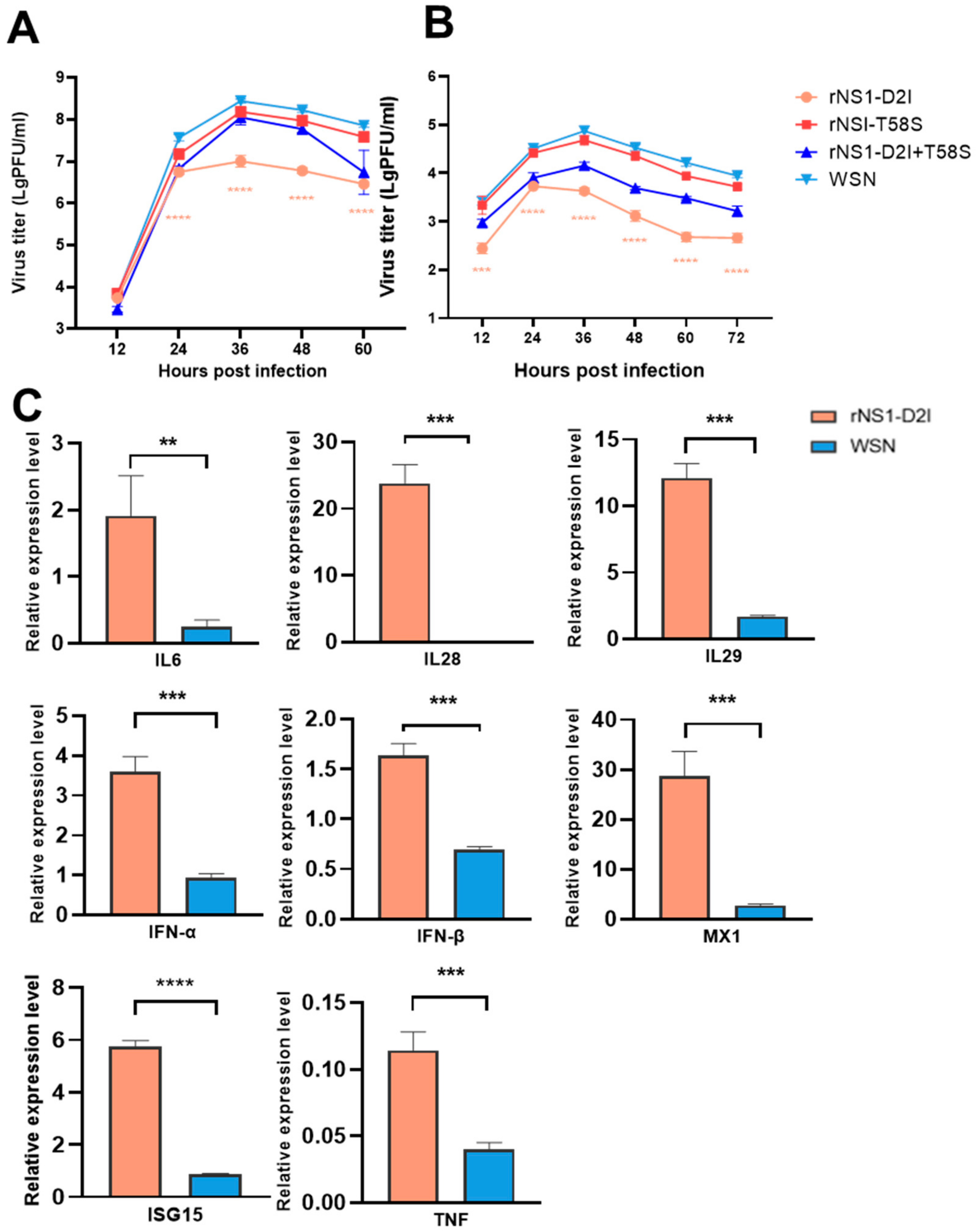 Viruses 14 01206 g006 Viruses 14 01206 g006