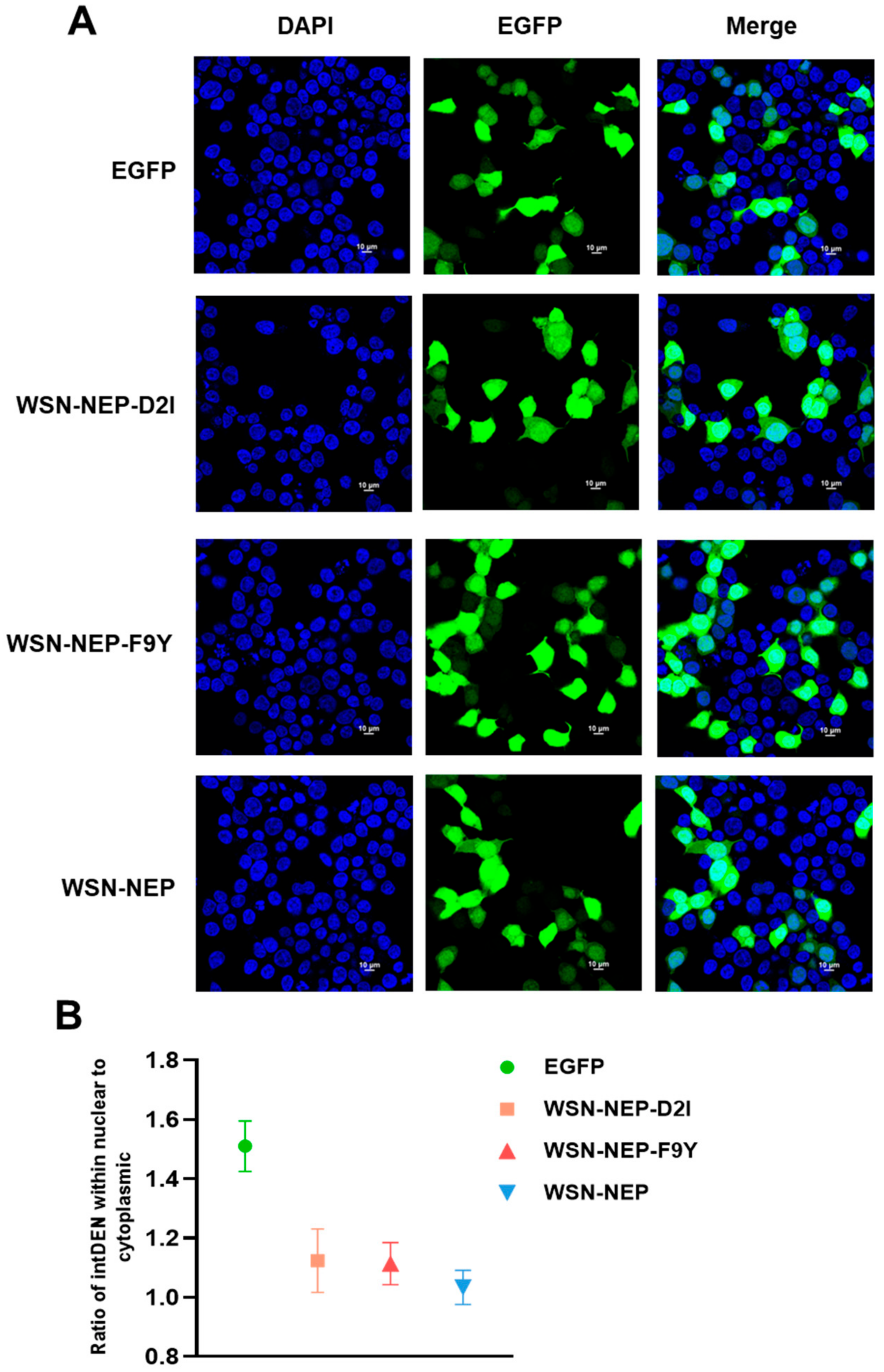 Viruses 14 01206 g008 Viruses 14 01206 g008