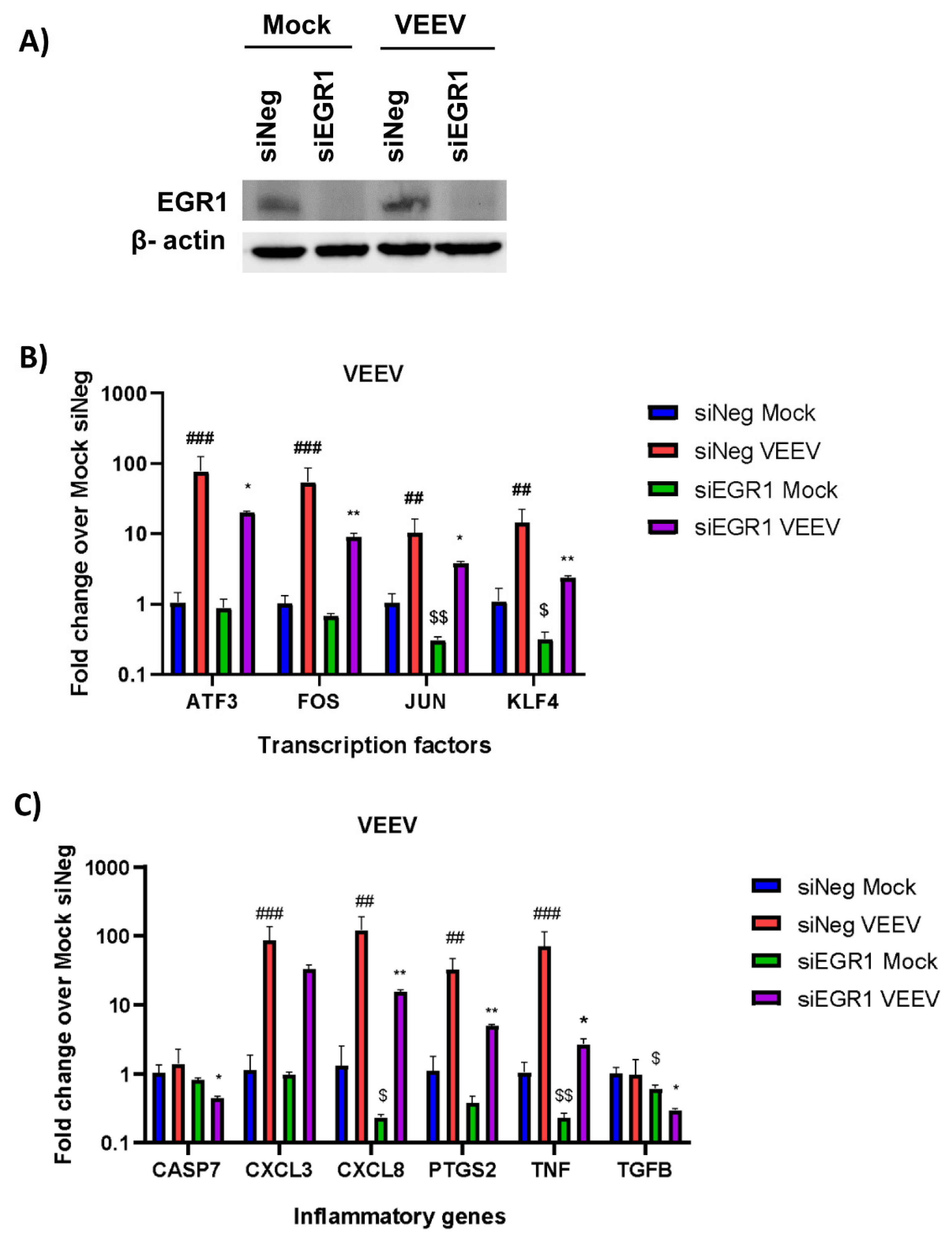 Viruses 14 01210 g002