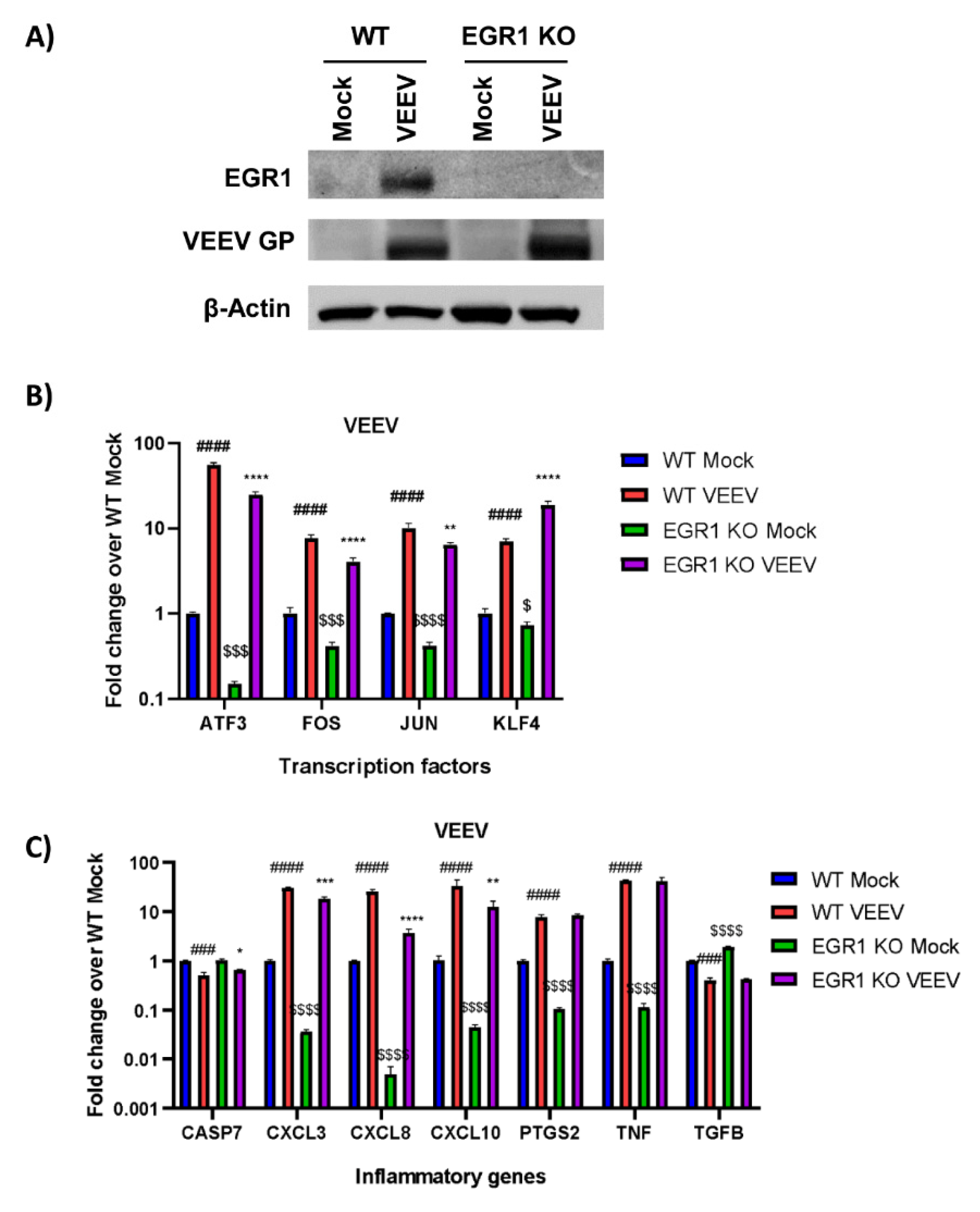 Viruses 14 01210 g003