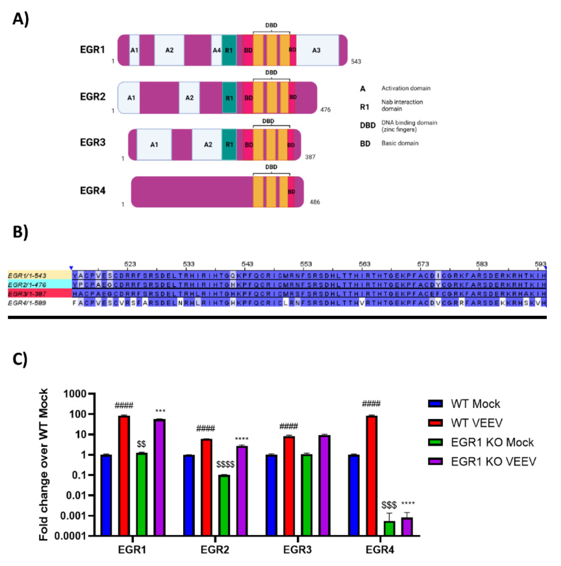 Viruses 14 01210 g004