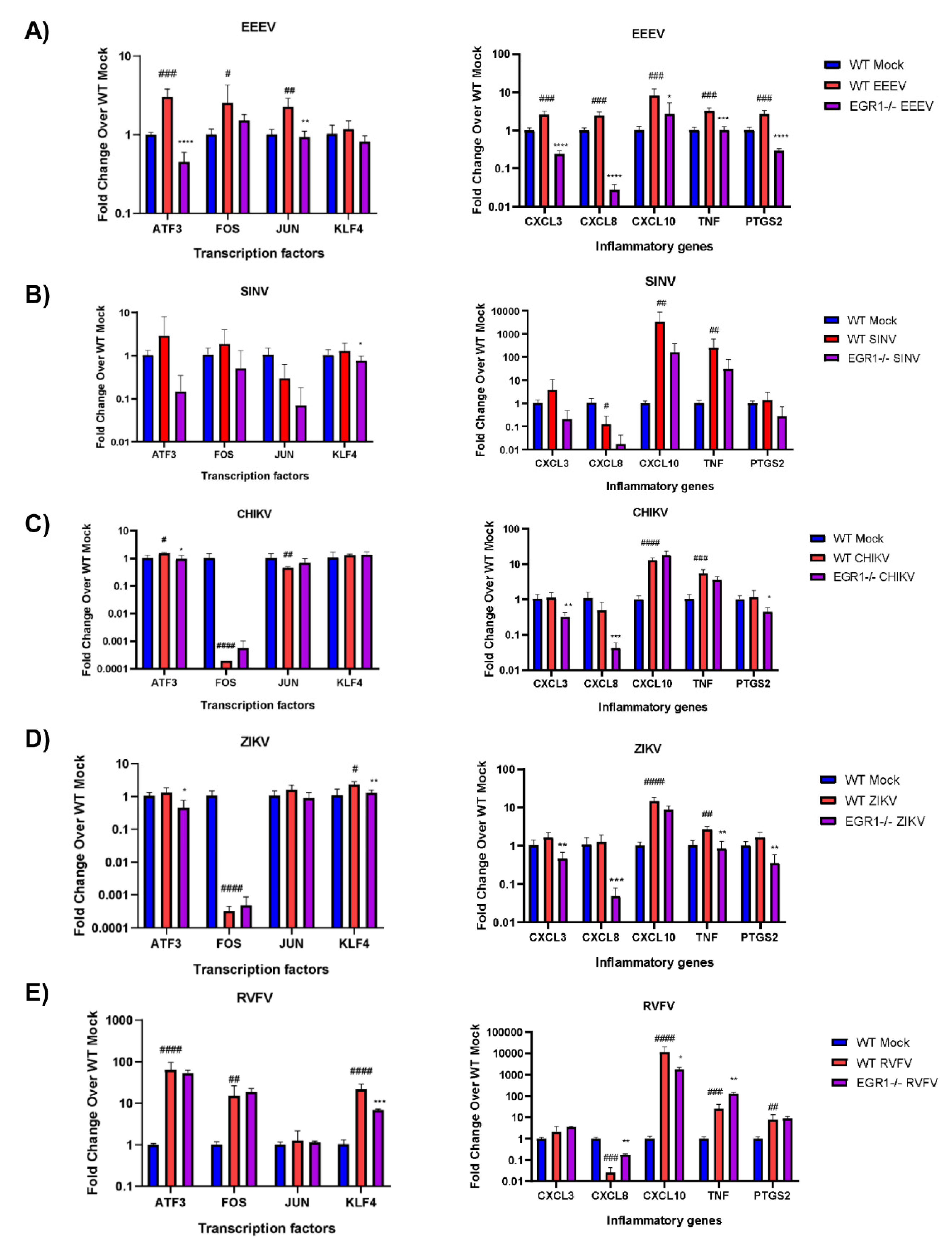 Viruses 14 01210 g007