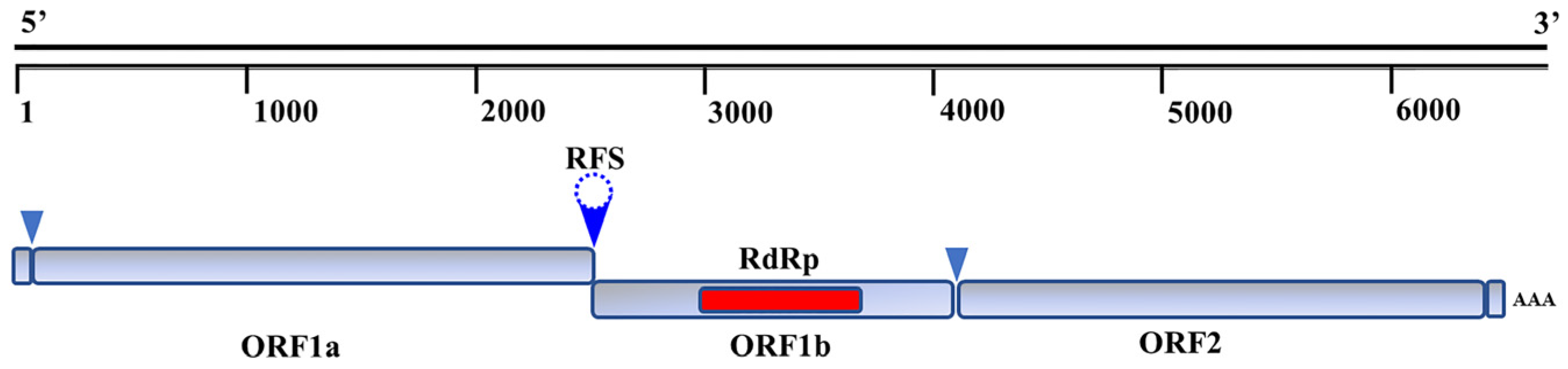 Viruses 14 01217 g002 550