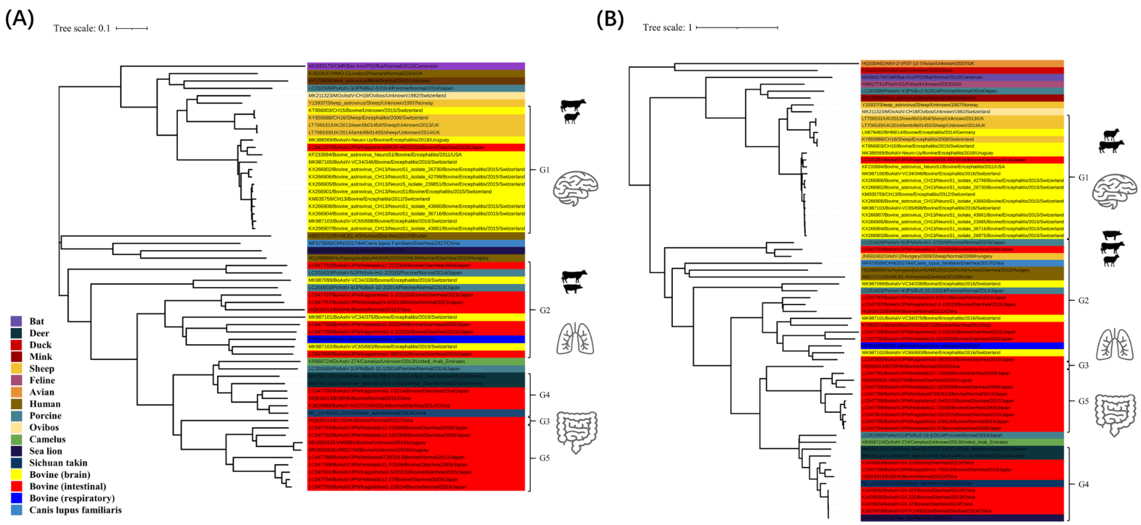 Viruses 14 01217 g003 550