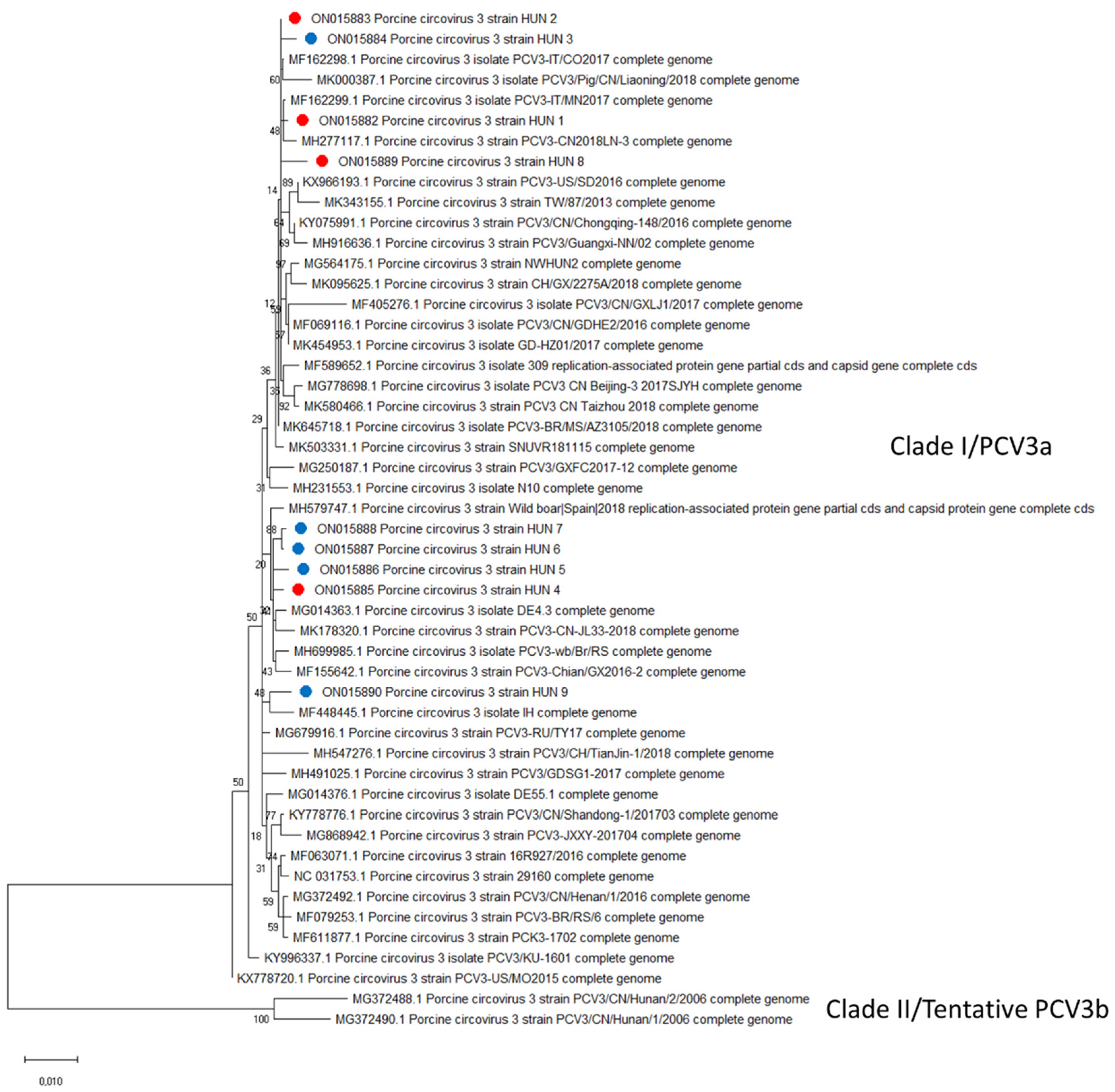 Viruses 14 01219 g006 550