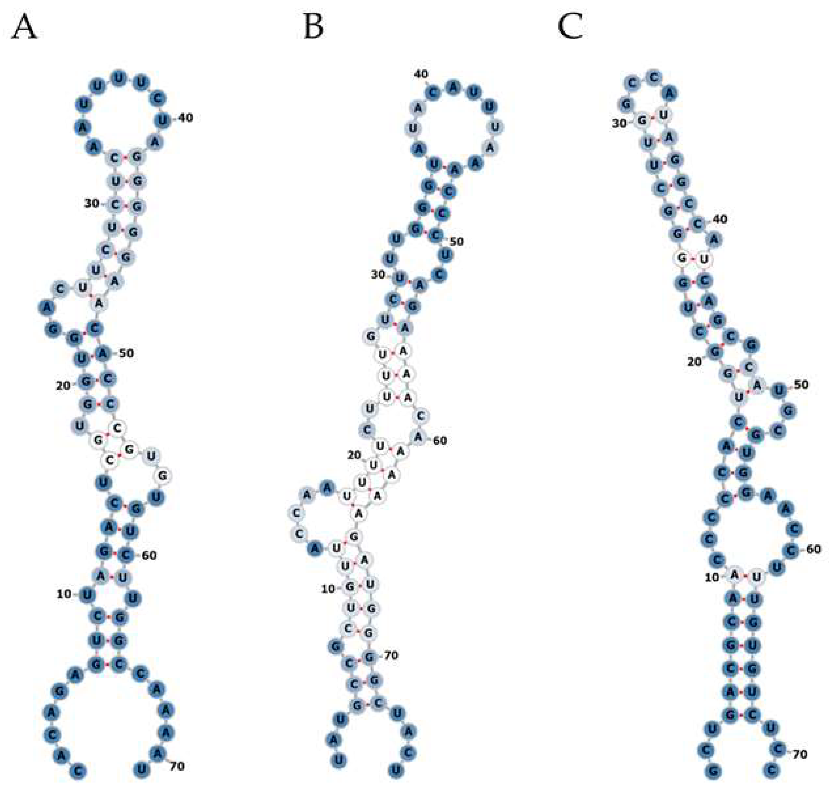 Viruses 14 01223 g001 550