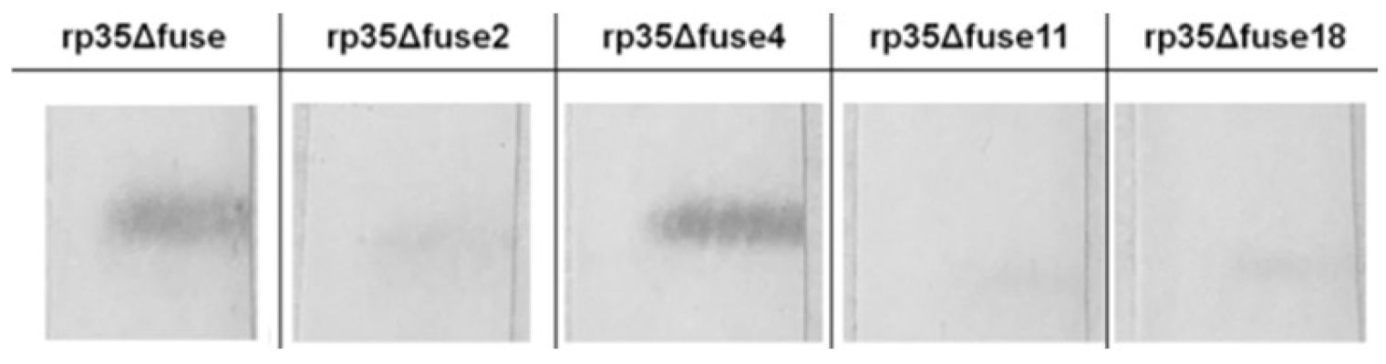 Viruses 14 01224 g006