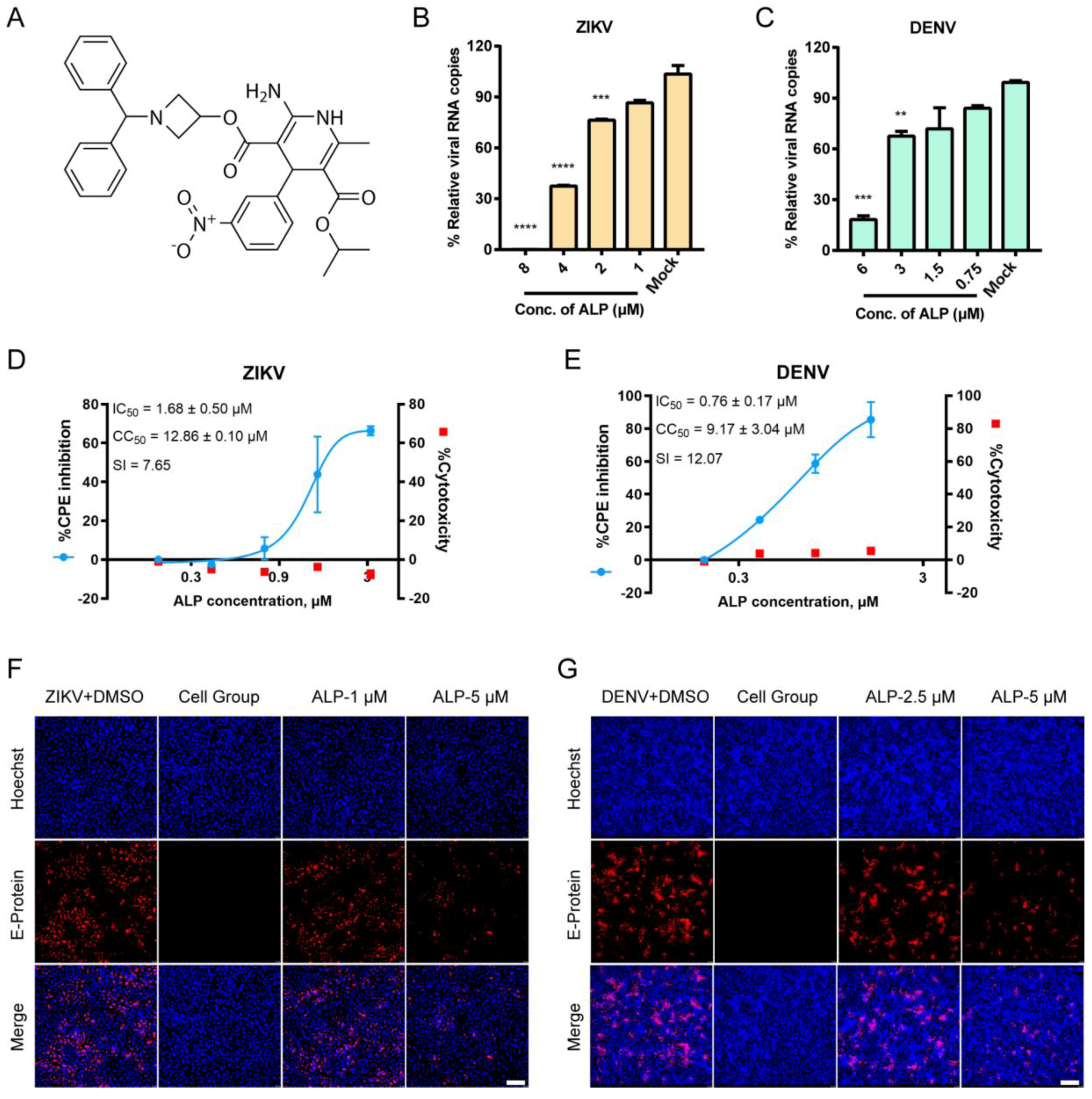 Viruses 14 01228 g001