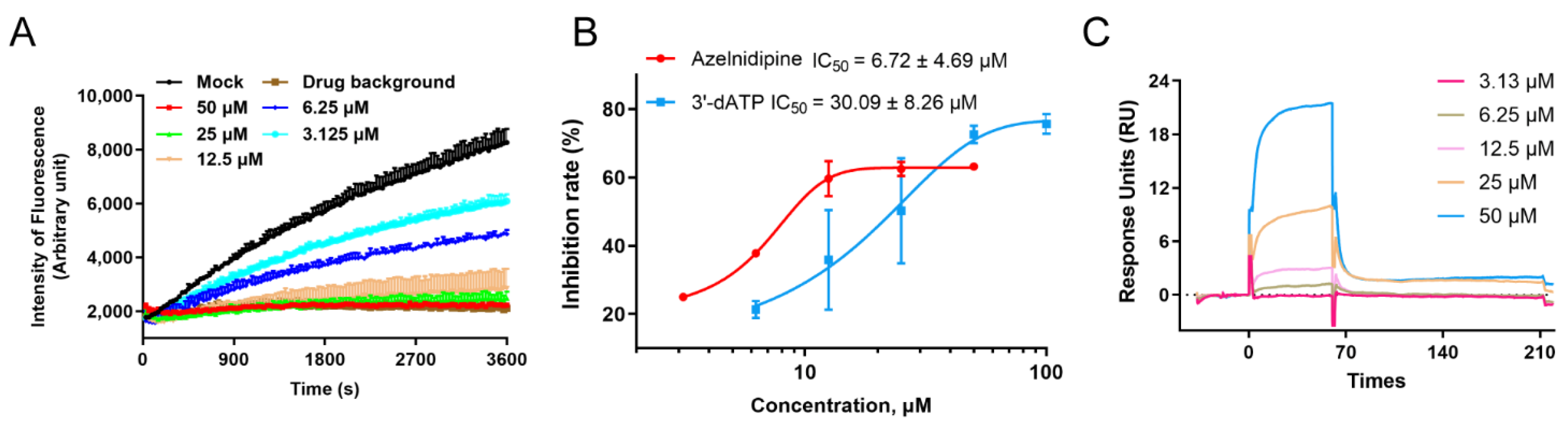 Viruses 14 01228 g003