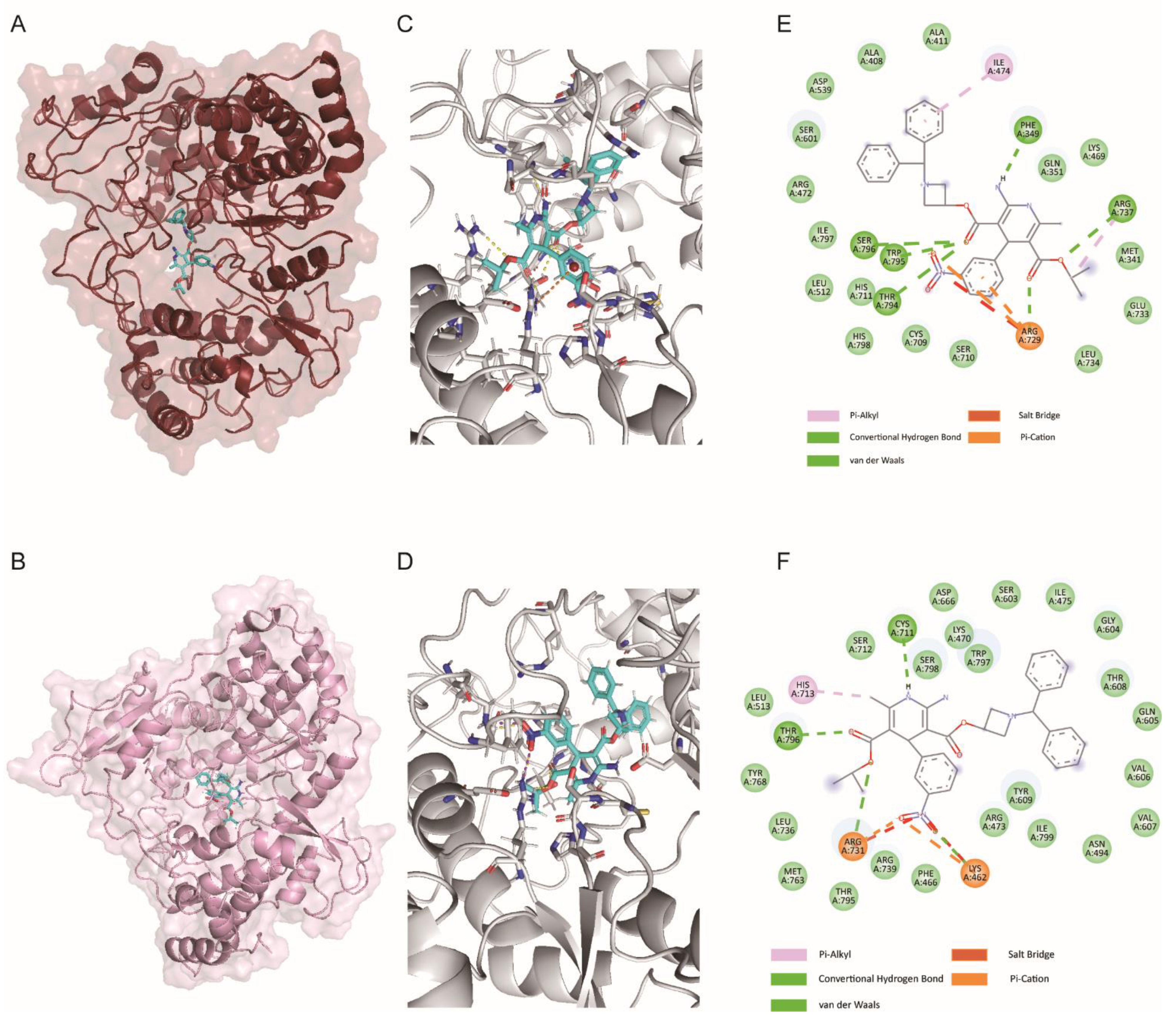 Viruses 14 01228 g004