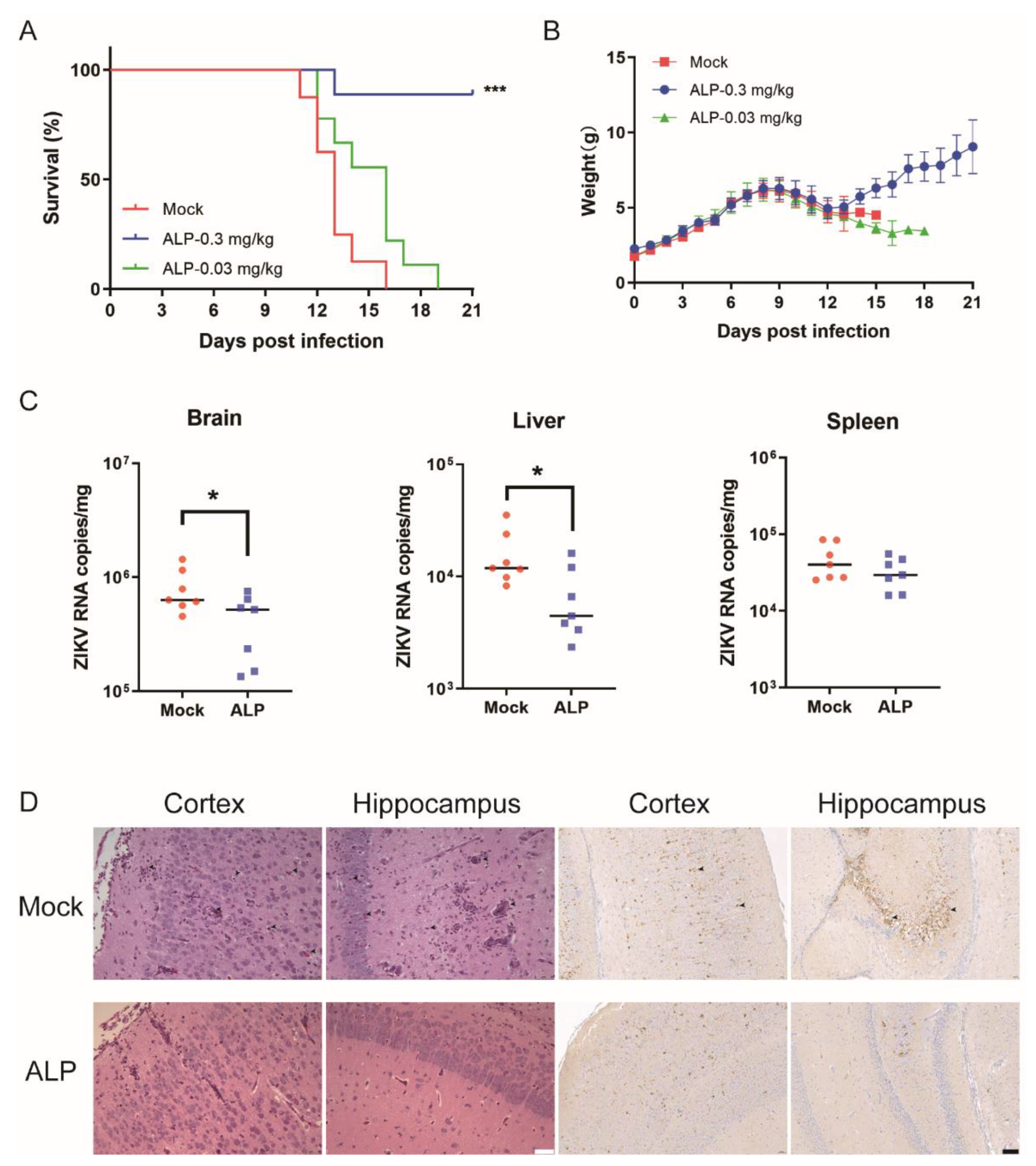 Viruses 14 01228 g005