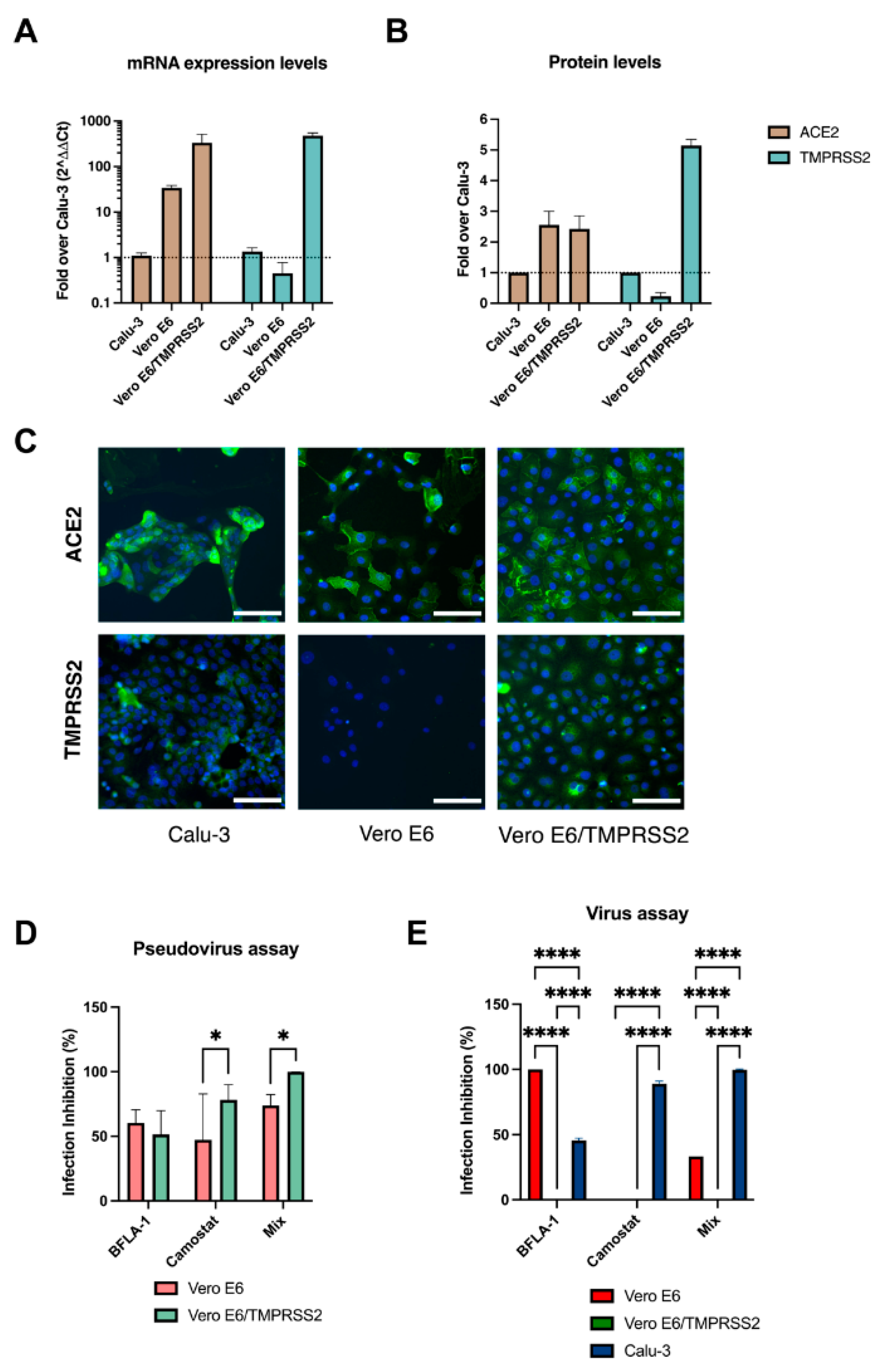 Viruses 14 01232 g001 550