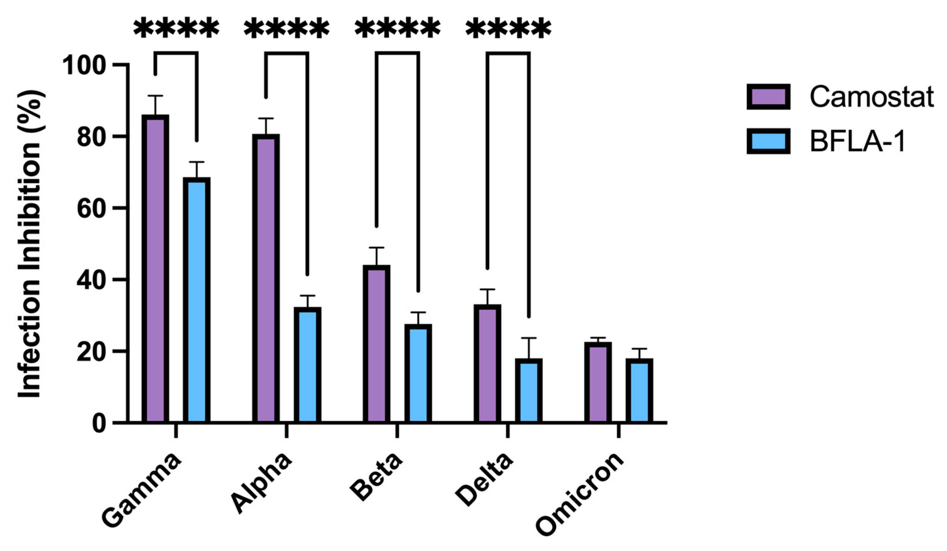 Viruses 14 01232 g004 550