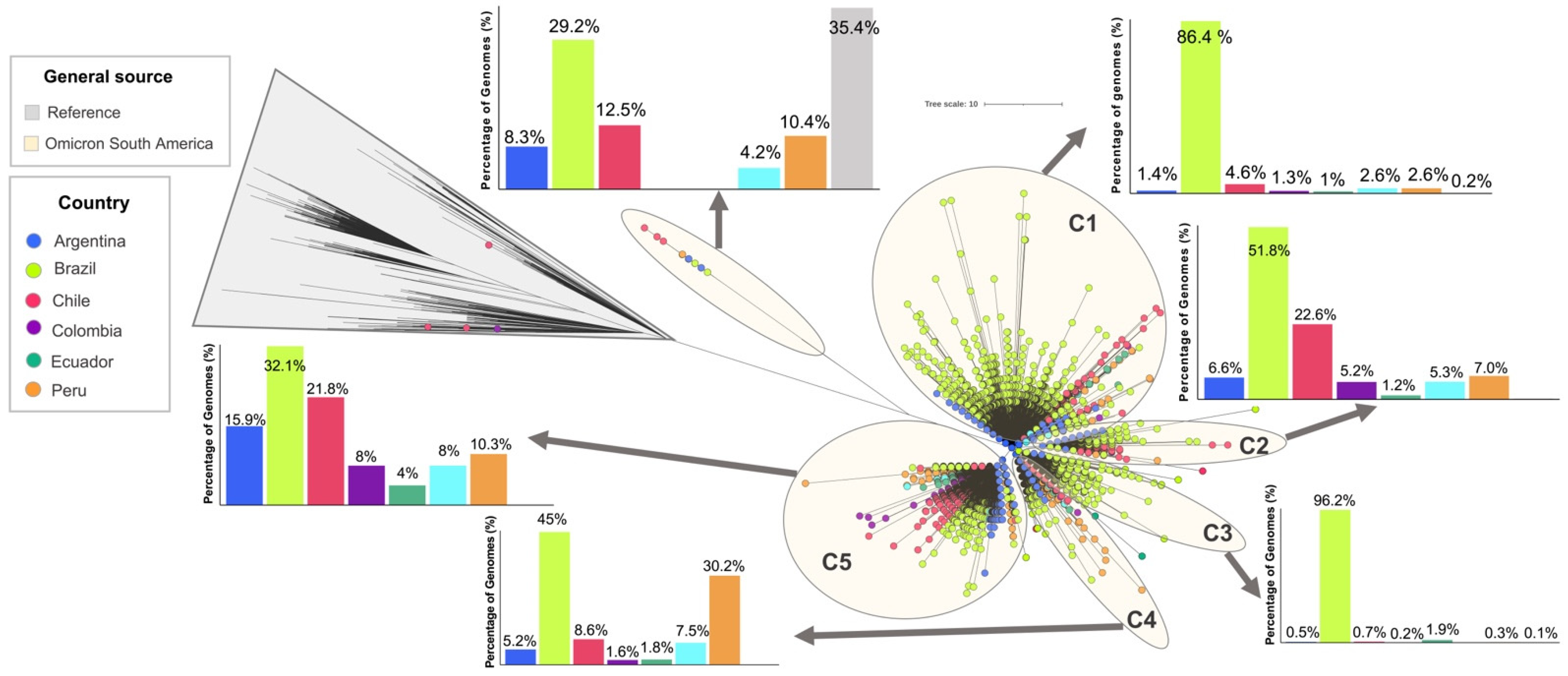 Viruses 14 01234 g003 550