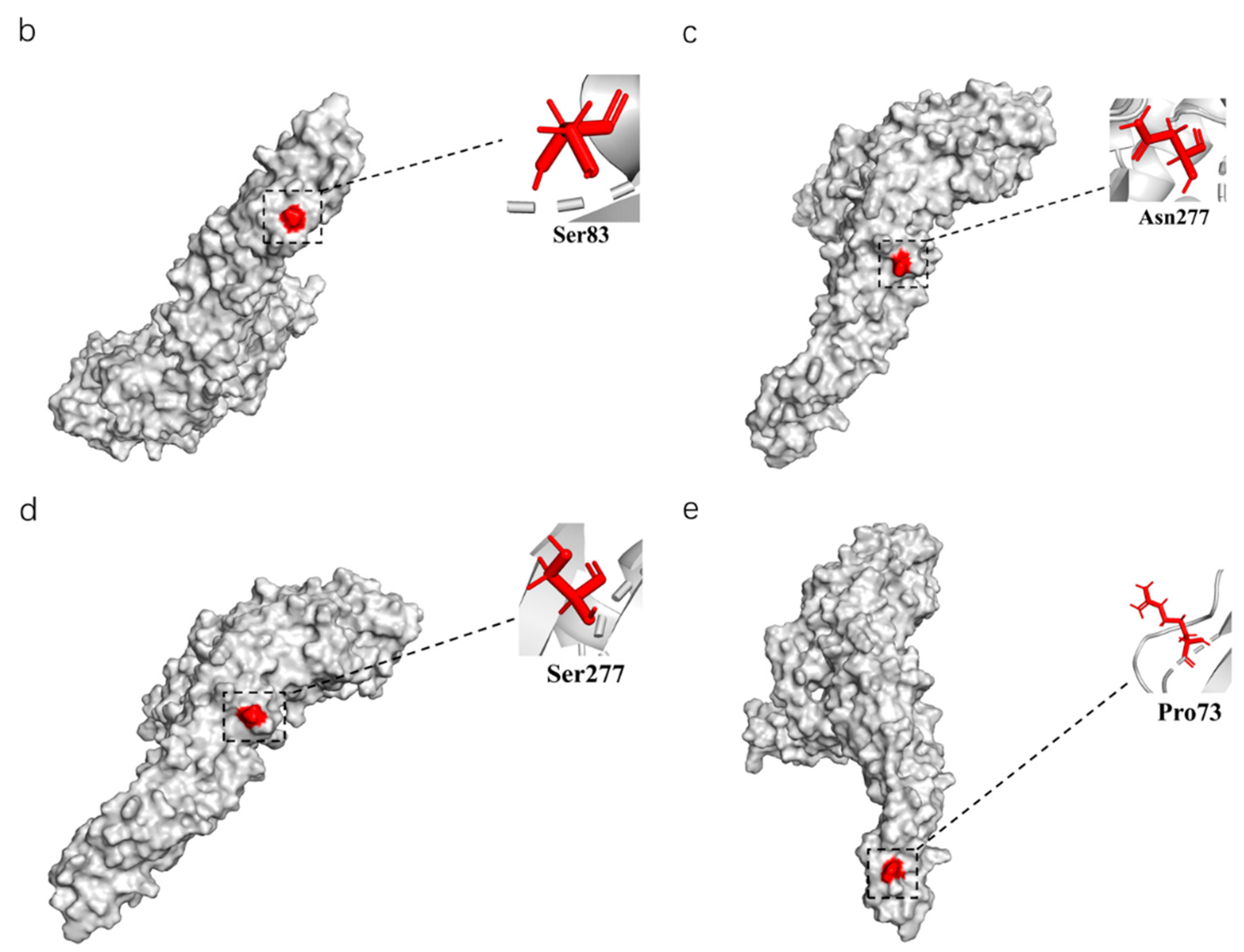 Viruses 14 01236 g004b 550