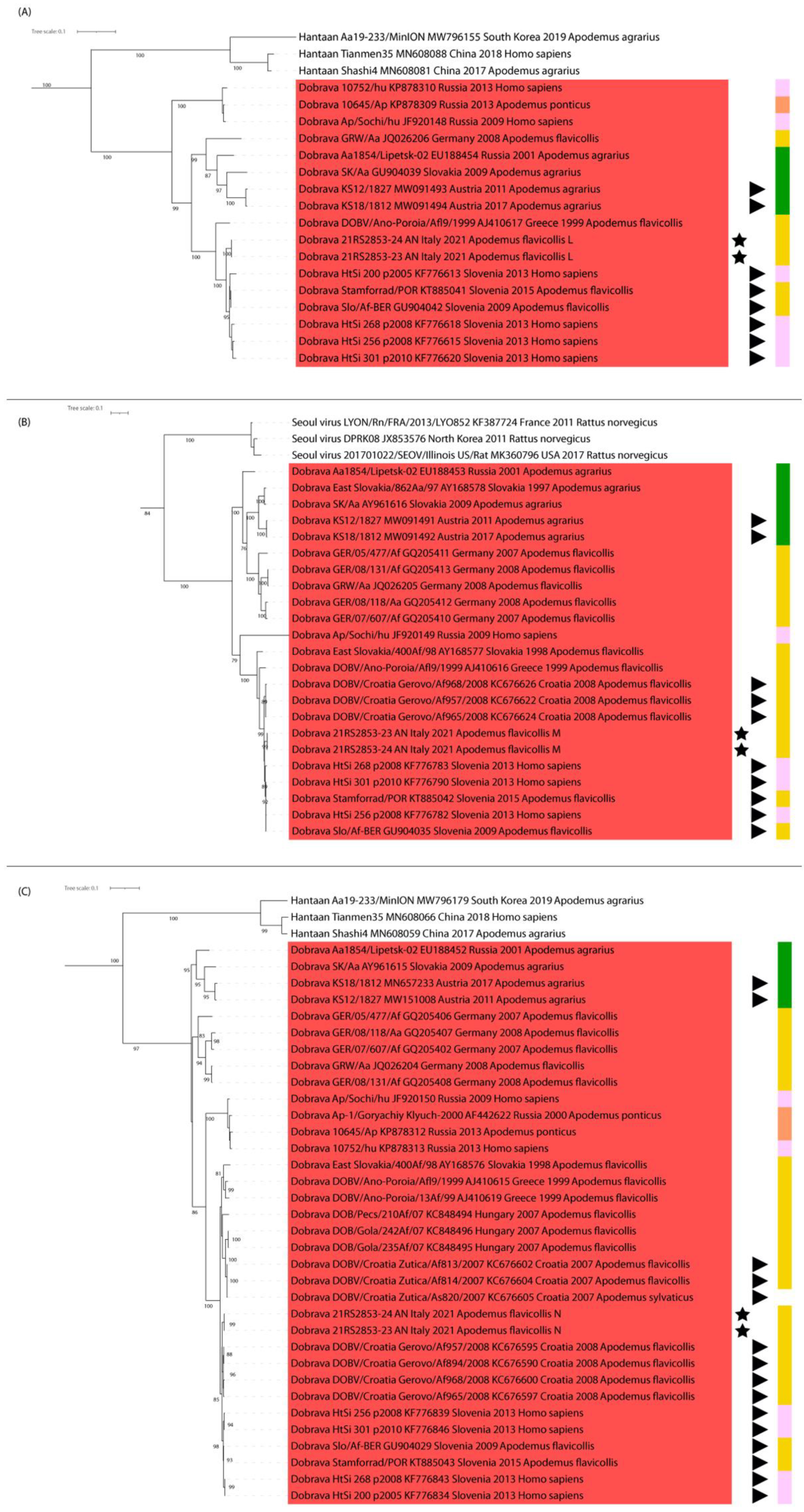 Viruses 14 01241 g001 550