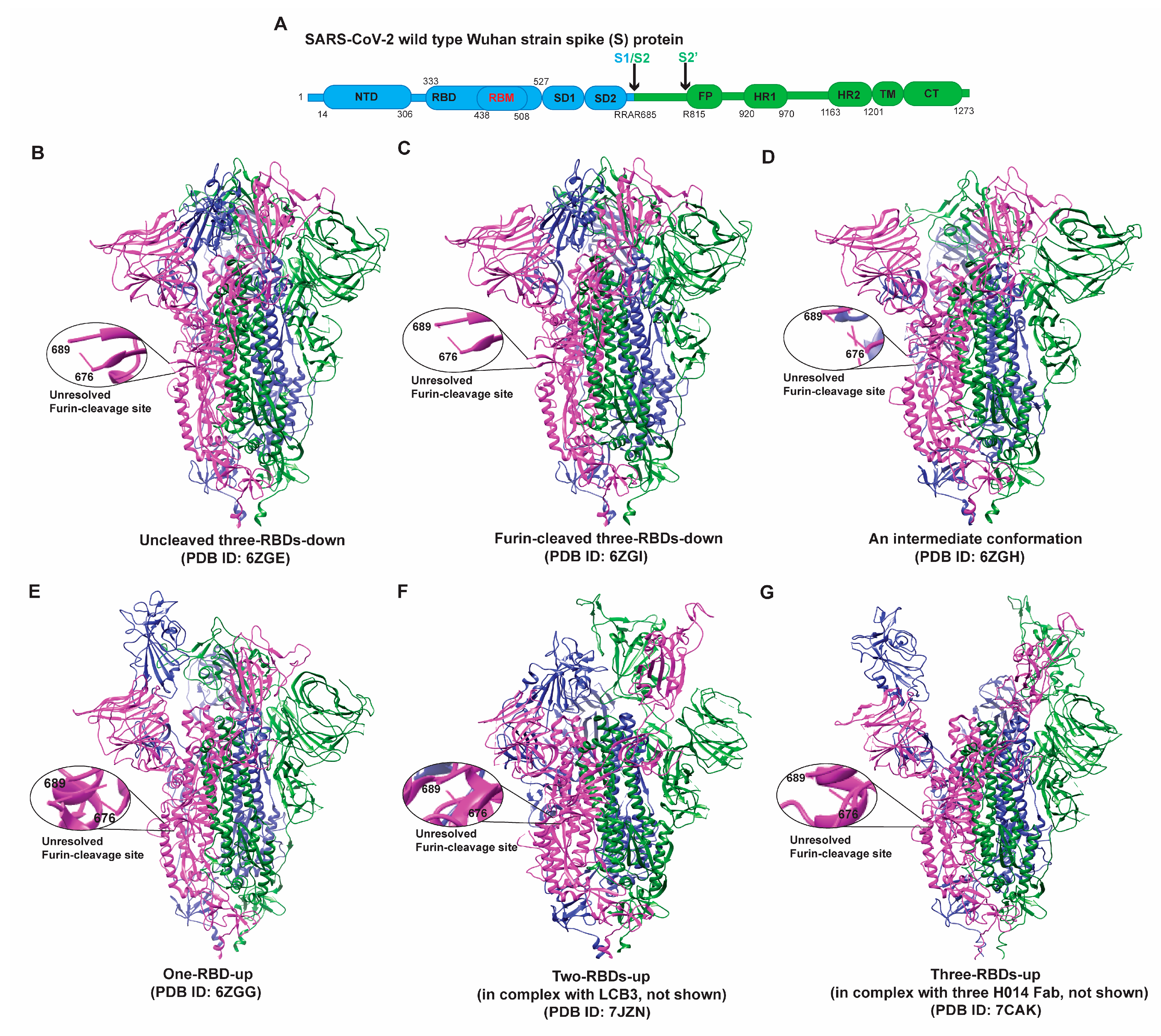 Viruses 14 01255 g001 550