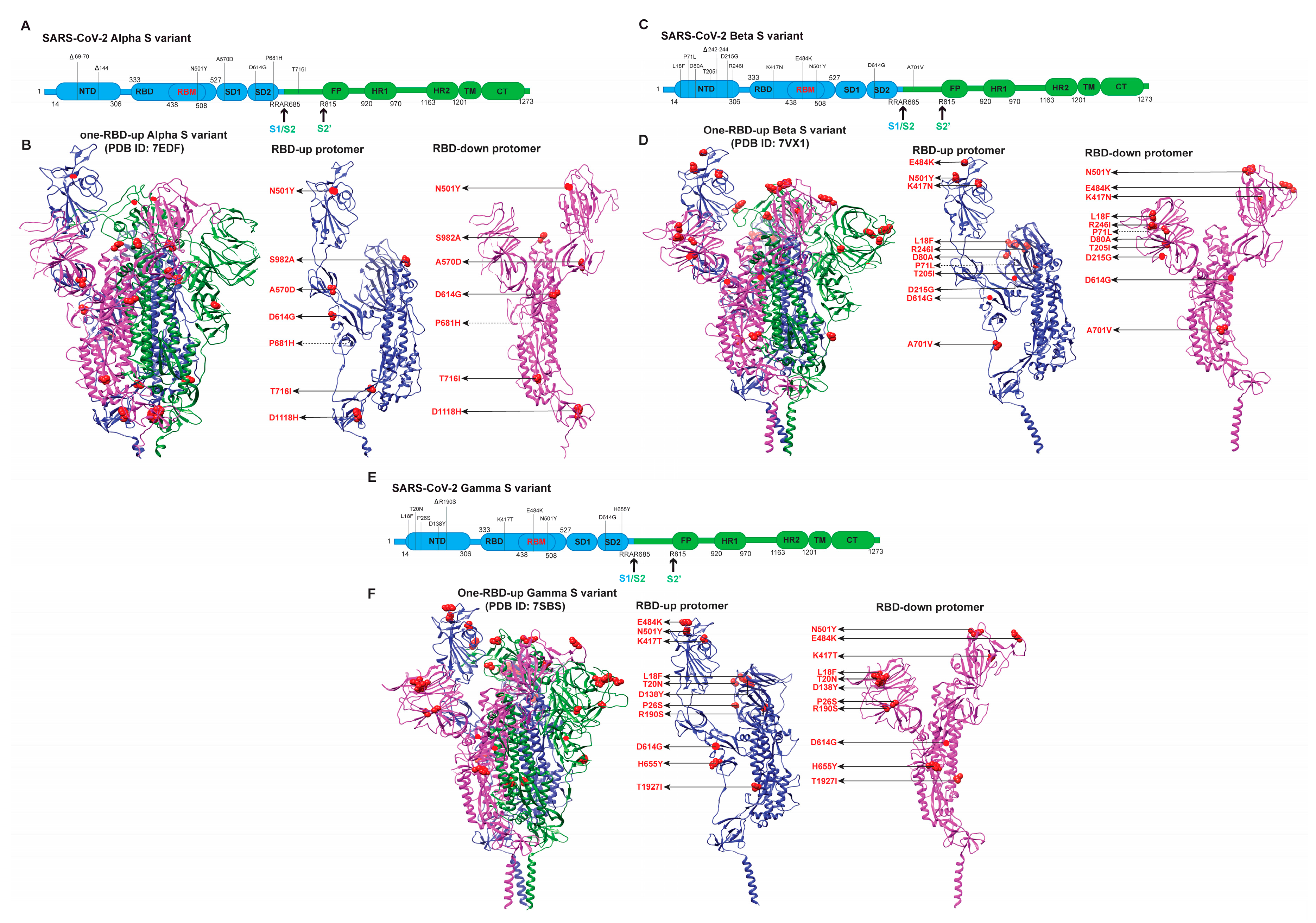 Viruses 14 01255 g003 550