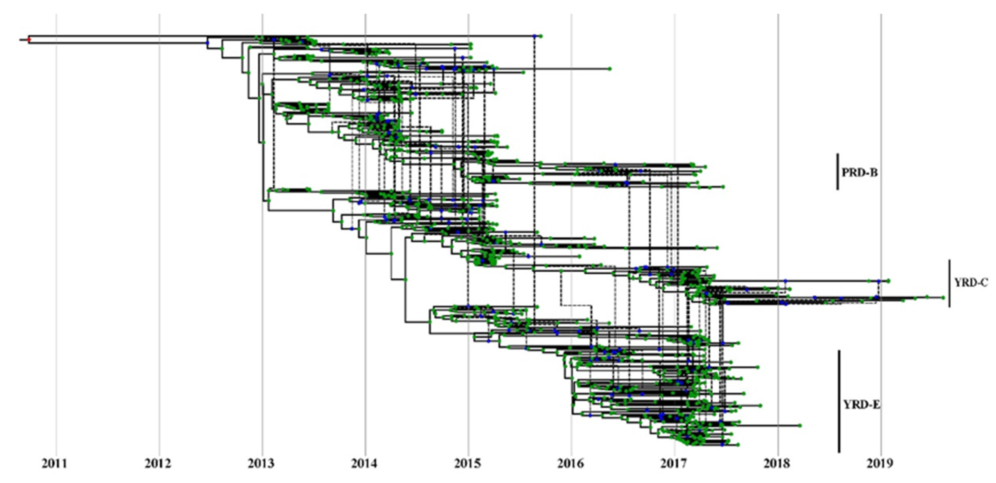 Viruses 14 01256 g006 Viruses 14 01256 g006