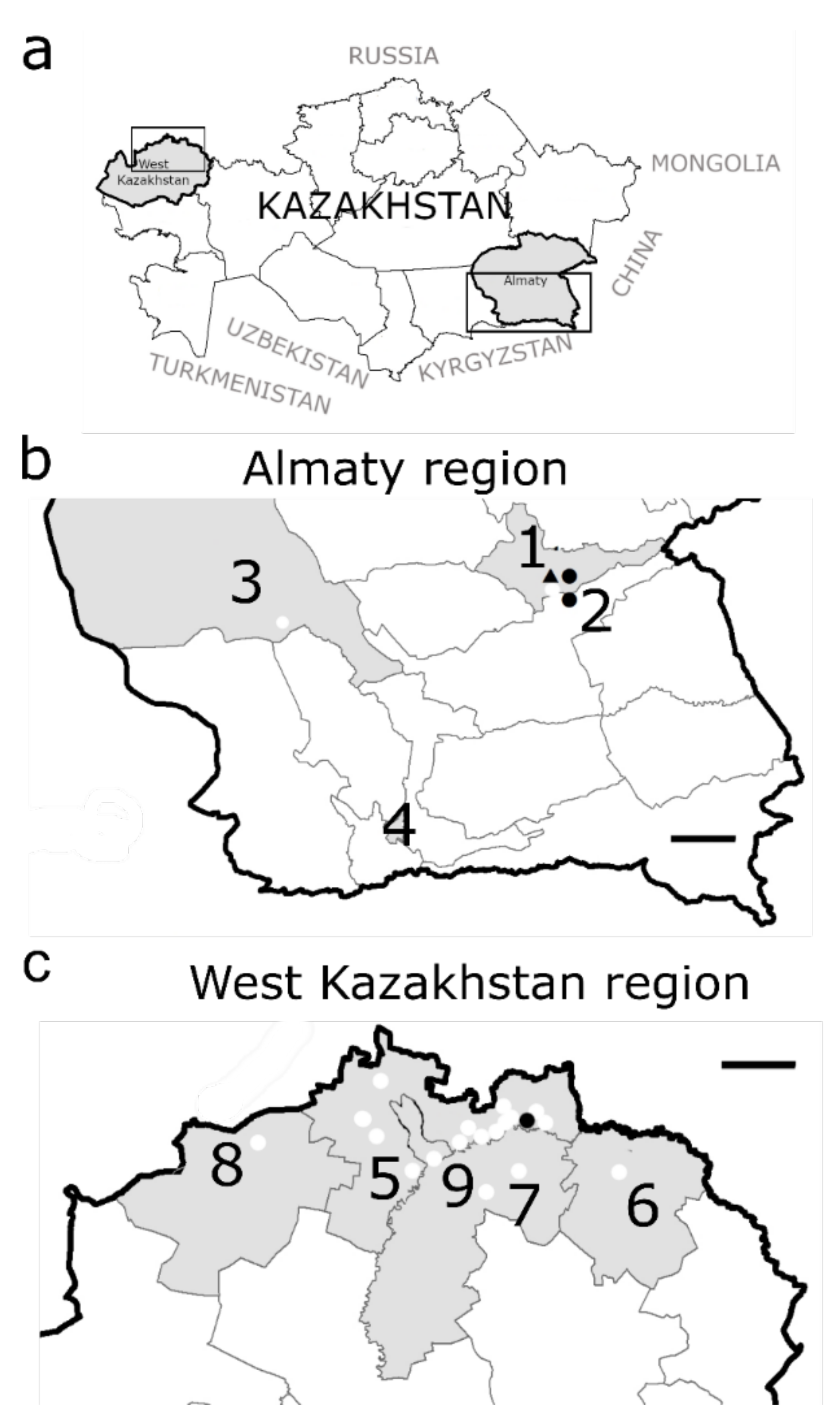 Viruses 14 01258 g001