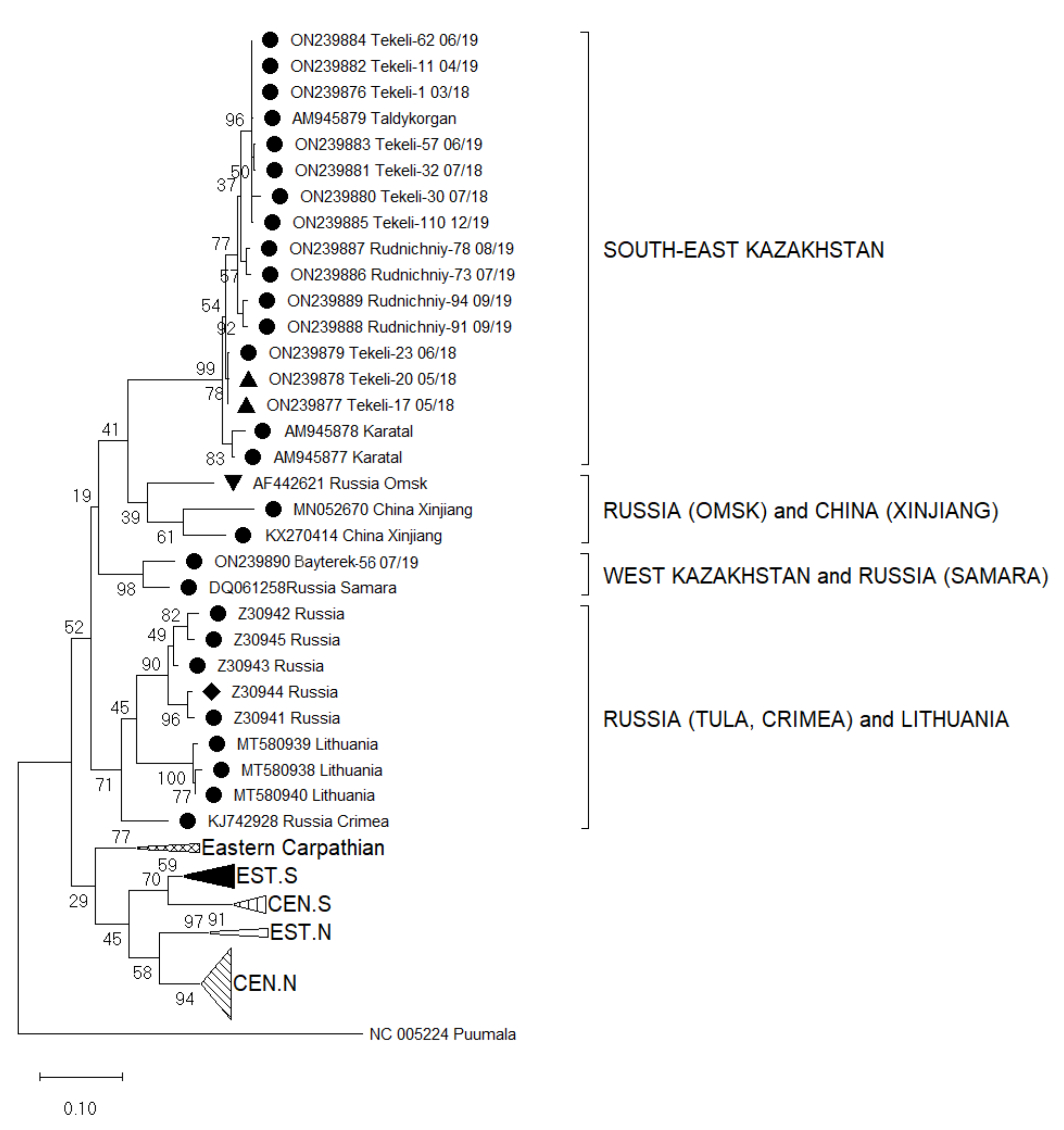 Viruses 14 01258 g002