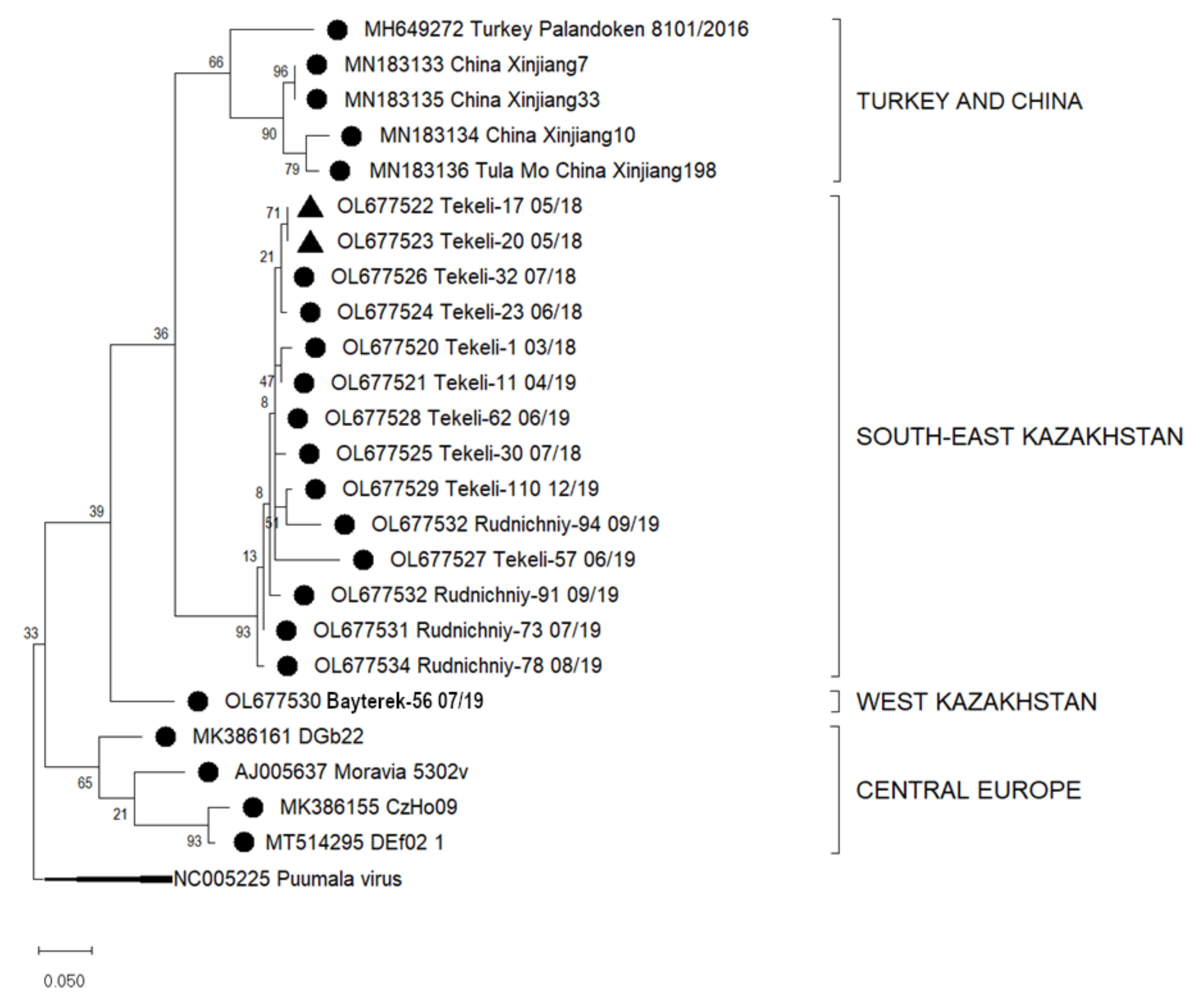 Viruses 14 01258 g003