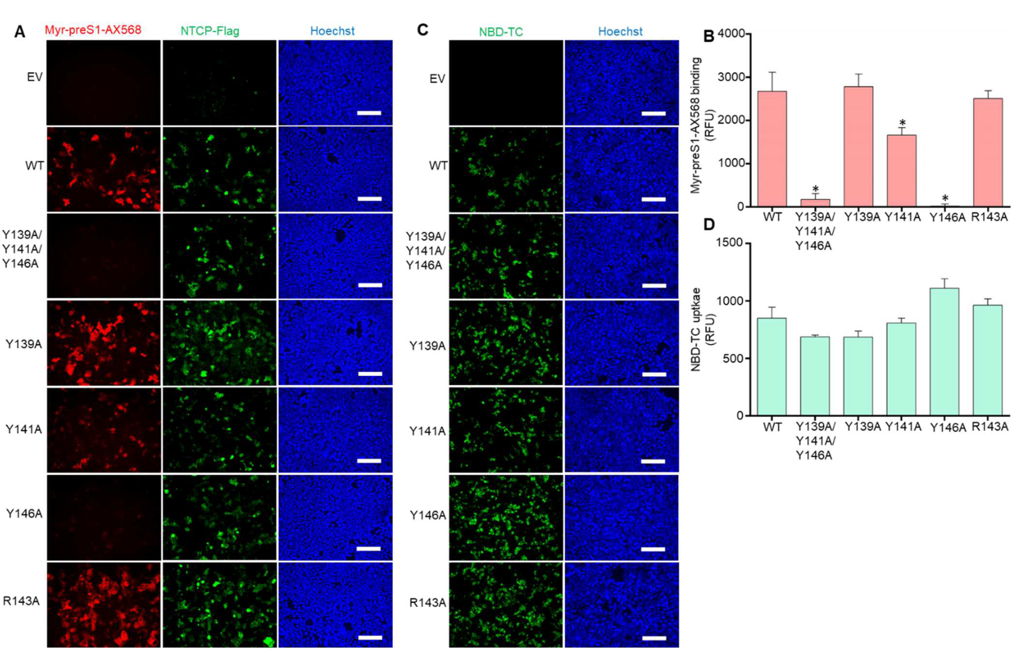 Viruses 14 01259 g002 550
