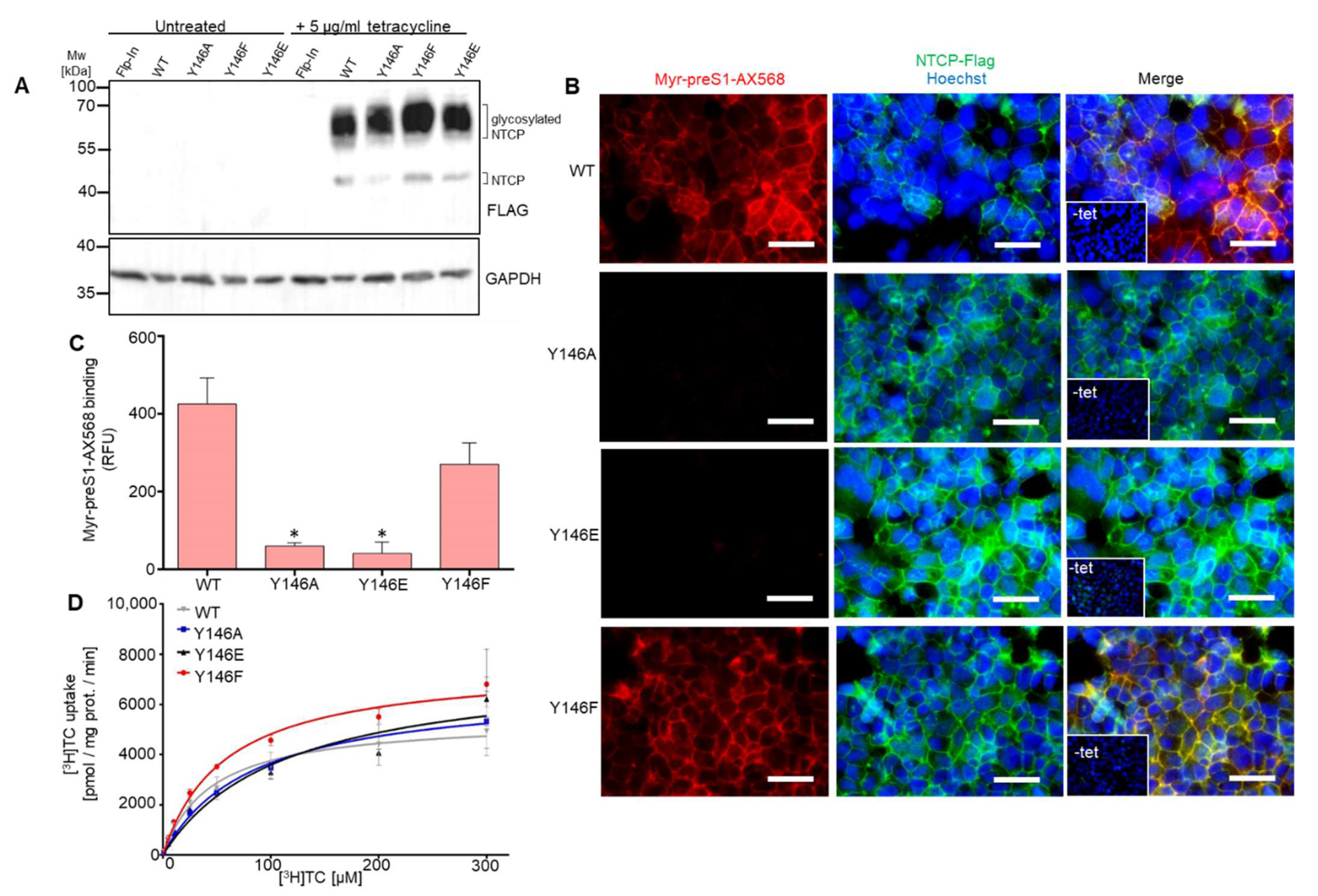 Viruses 14 01259 g005 550