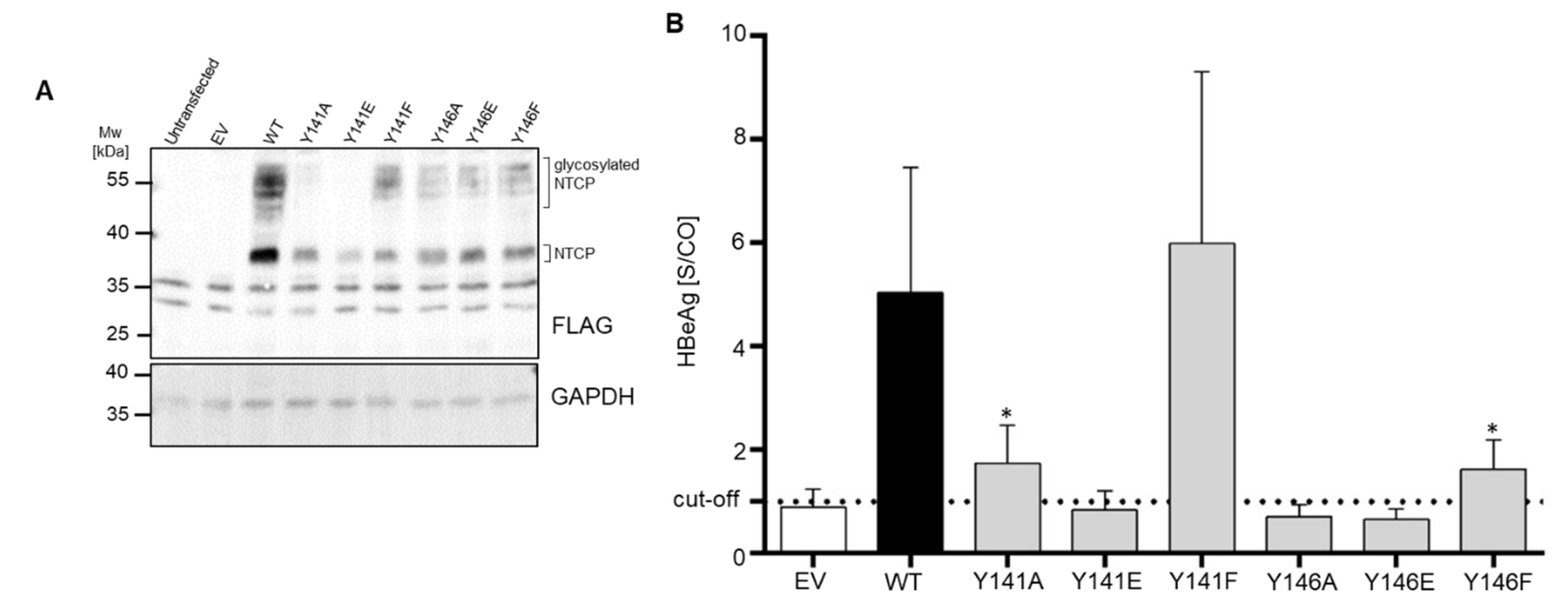 Viruses 14 01259 g006 550