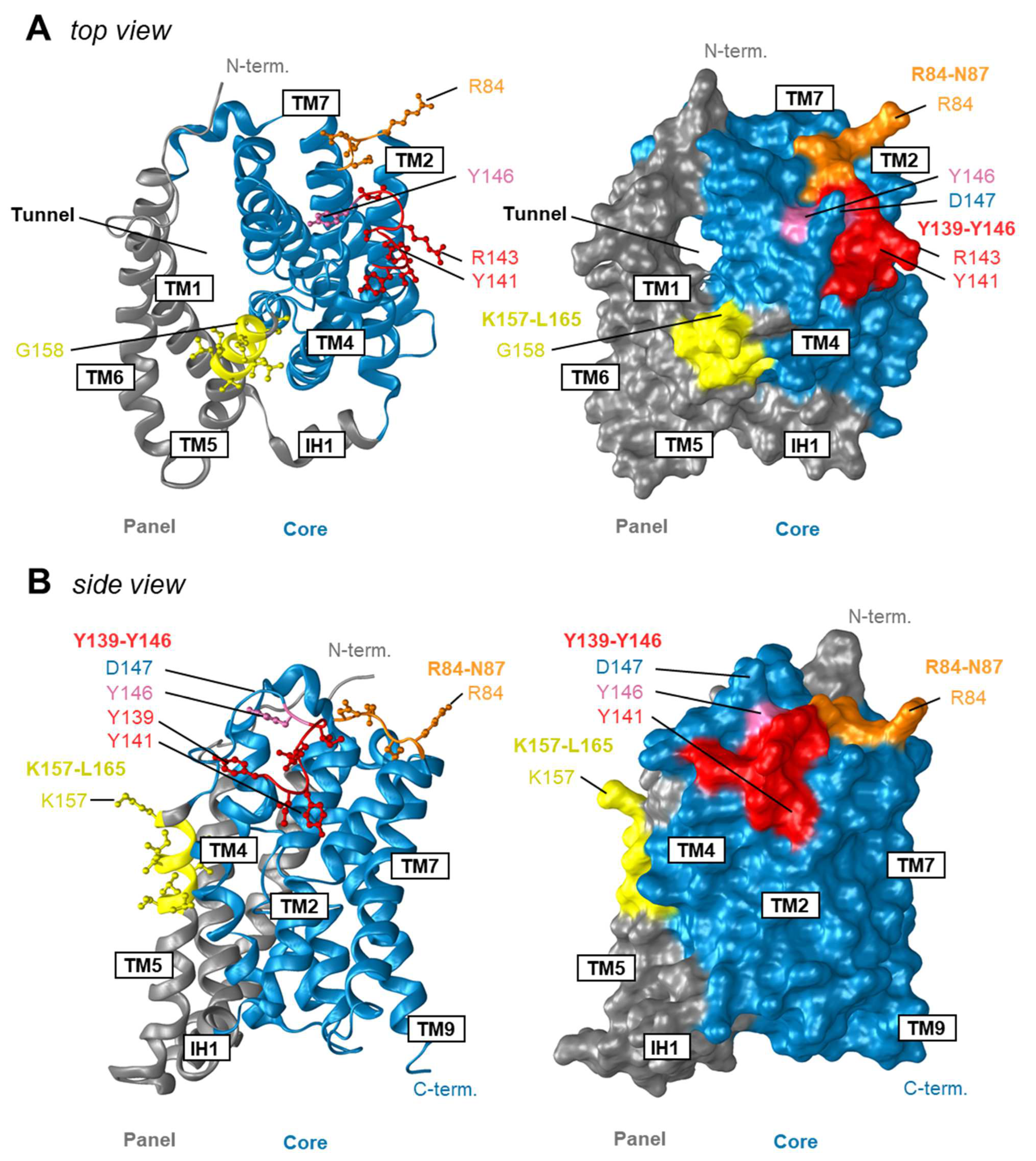 Viruses 14 01259 g007 550