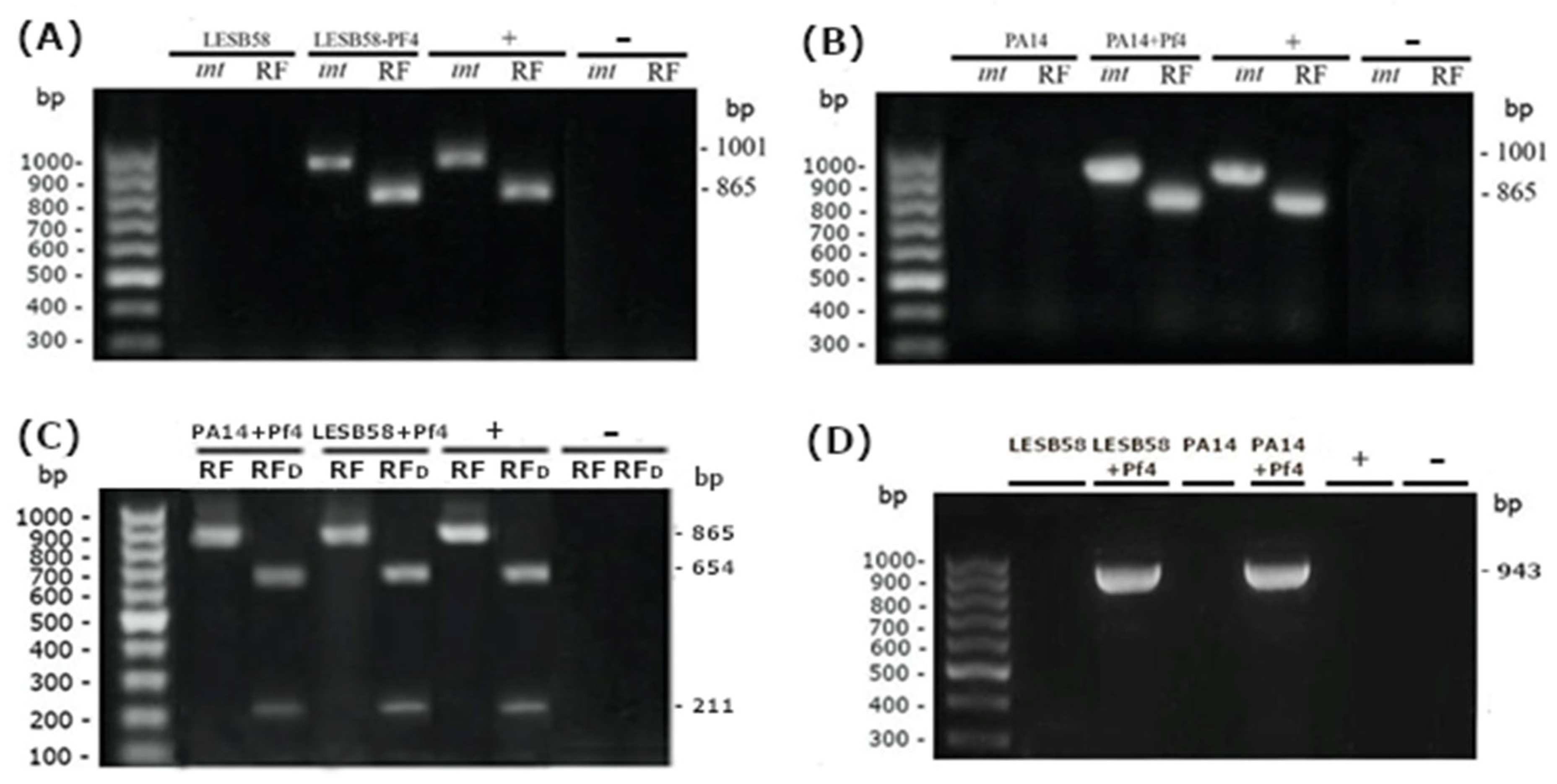 Viruses 14 01261 g002