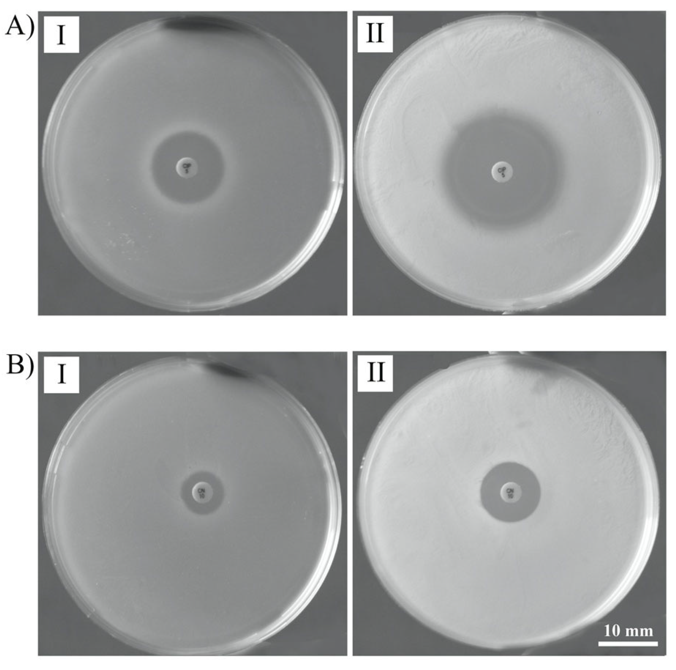 Viruses 14 01261 g006