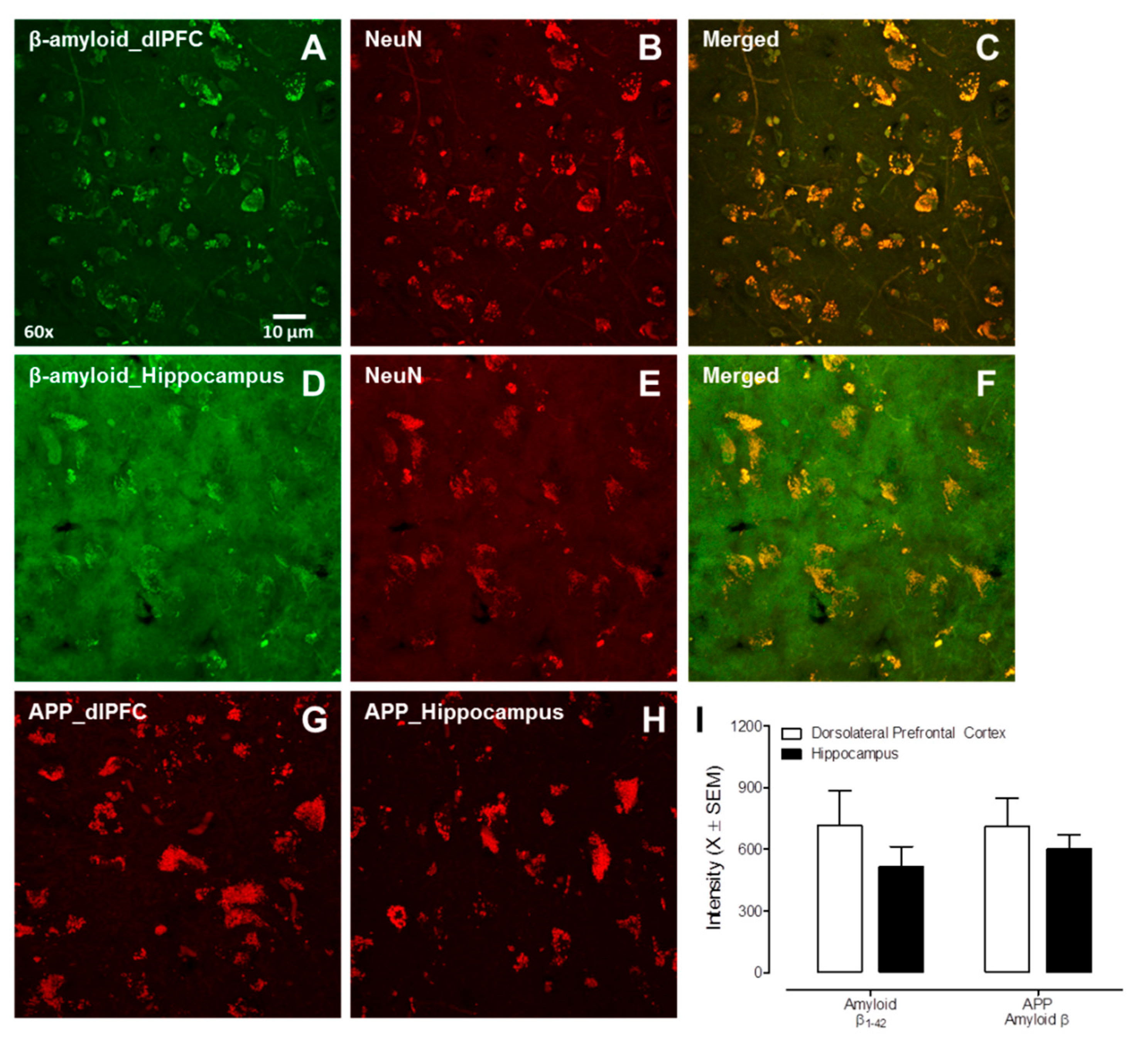 Viruses 14 01268 g004