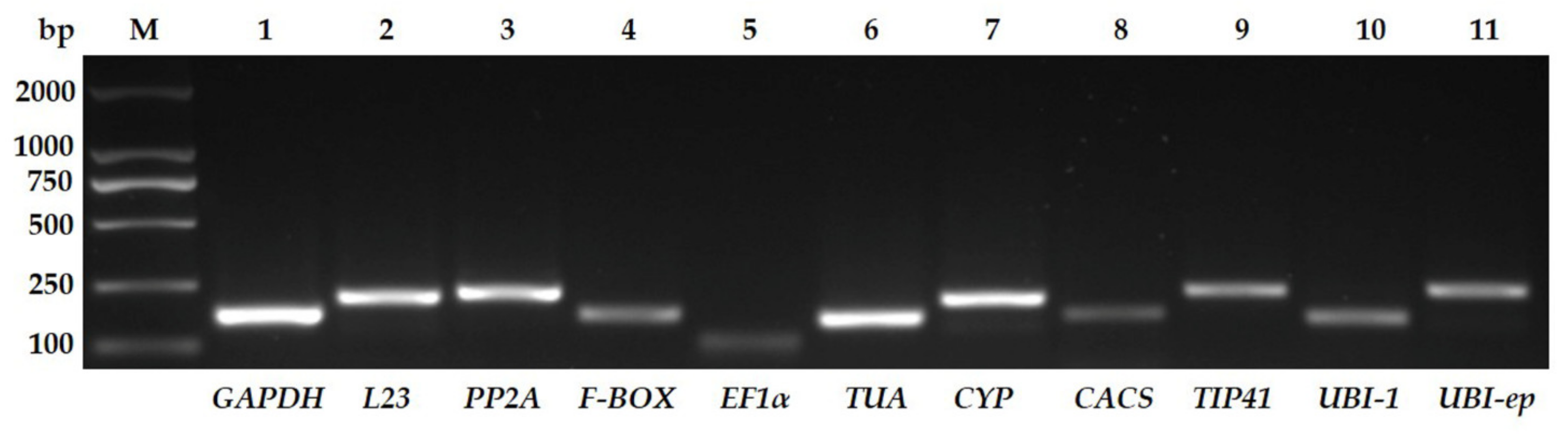 Viruses 14 01269 g002