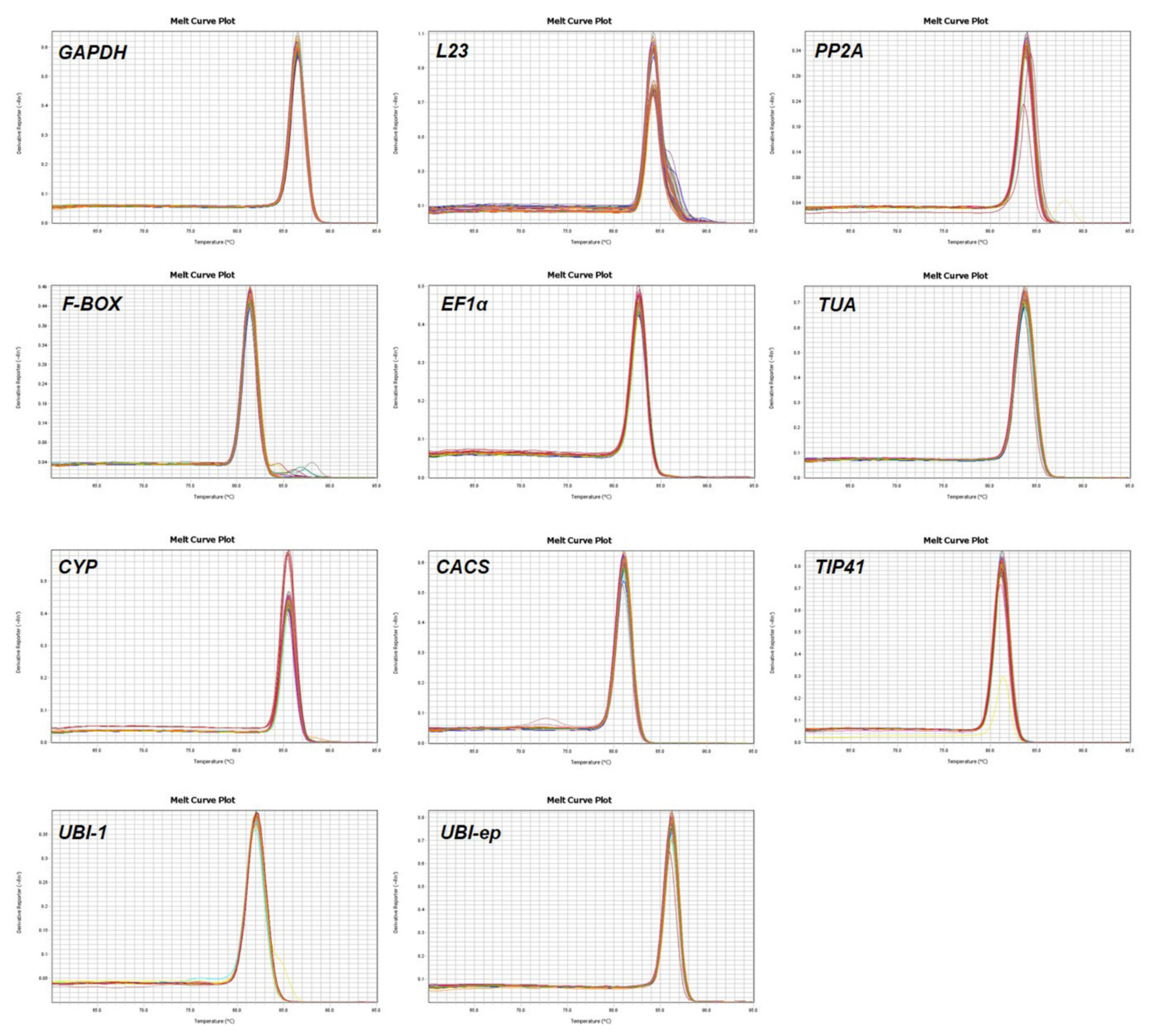 Viruses 14 01269 g003