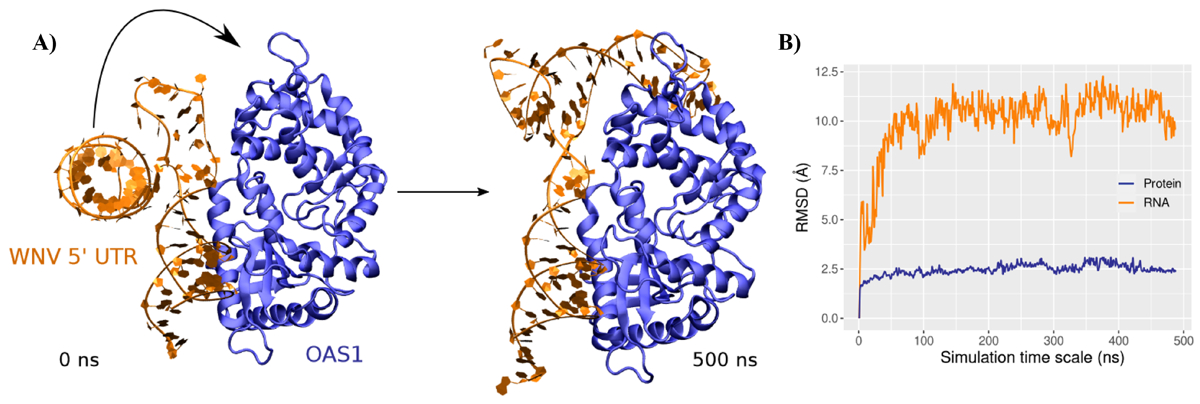Viruses 14 01282 g003